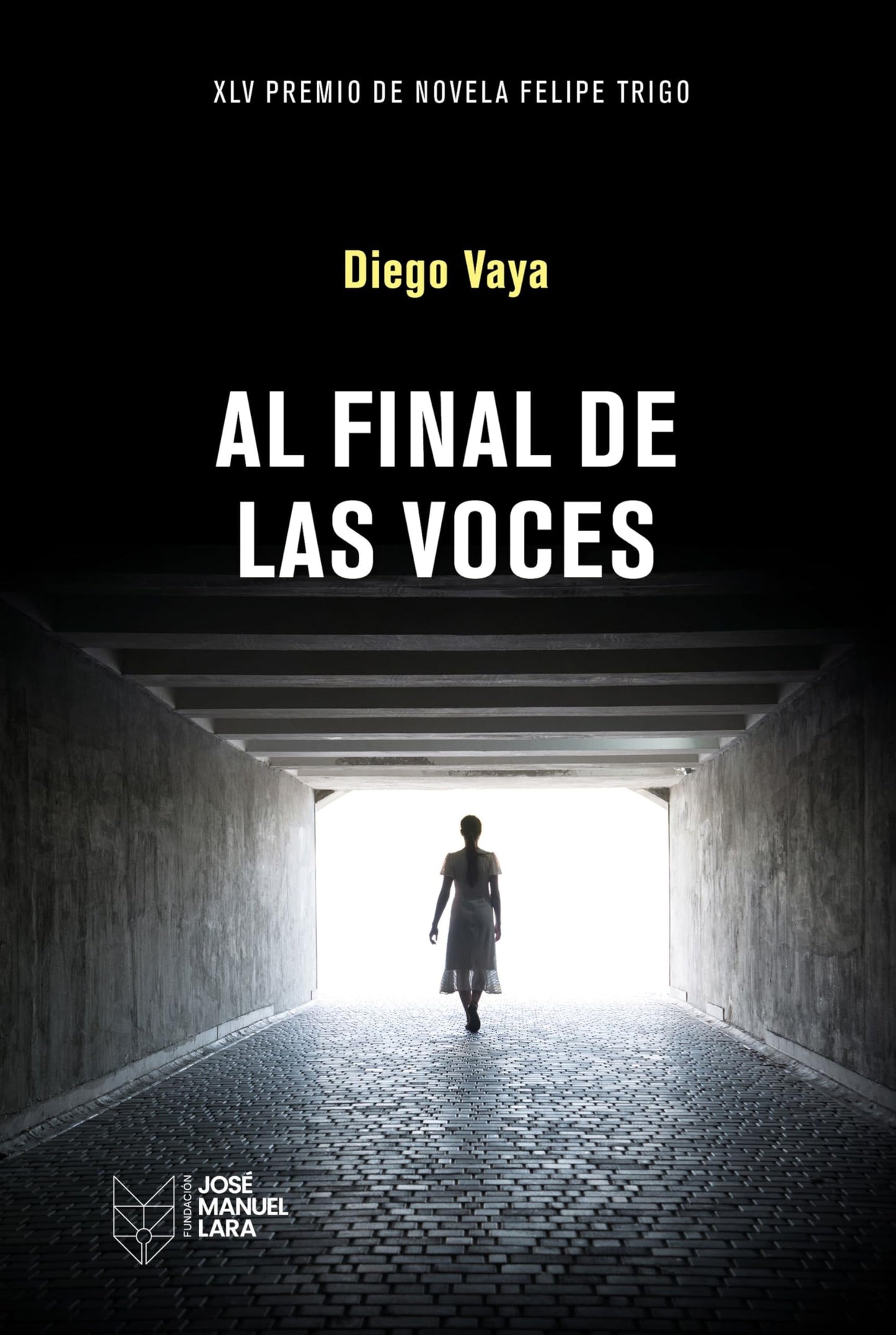 Libro: Al final de las voces: XLV Premio de Novela Felipe Trigo (Fuera de colección)