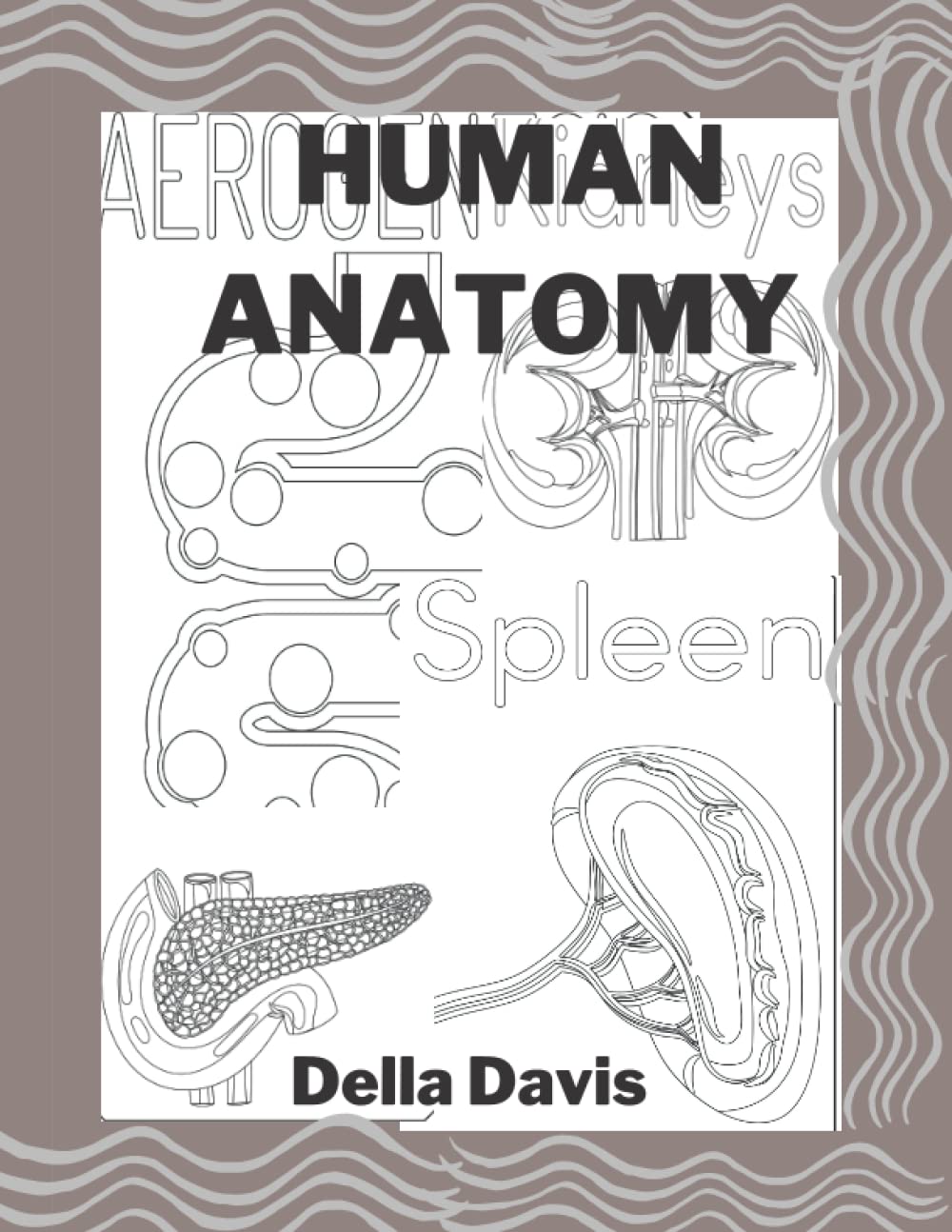 Libro: The Human Body: An exceptional way to view your organs inside out and identify.