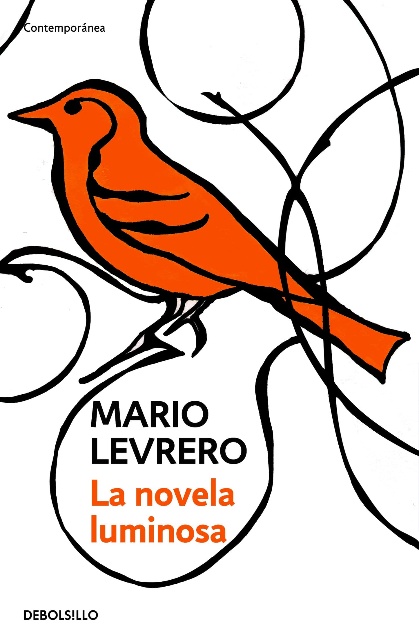 Libro: La novela luminosa (Spanish Edition)