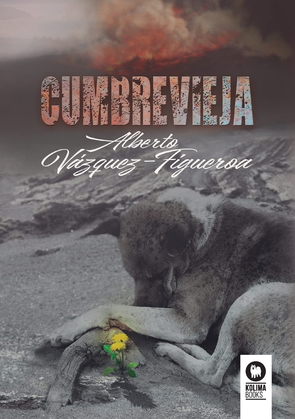 Libro: Cumbre Vieja (Novela)
