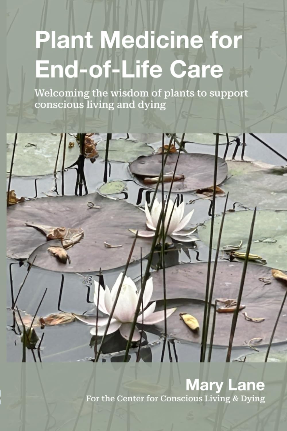 Libro: Plant Medicine for End-of-Life Care: Welcoming the Wisdom of Plants to Support Conscious Living and Dying