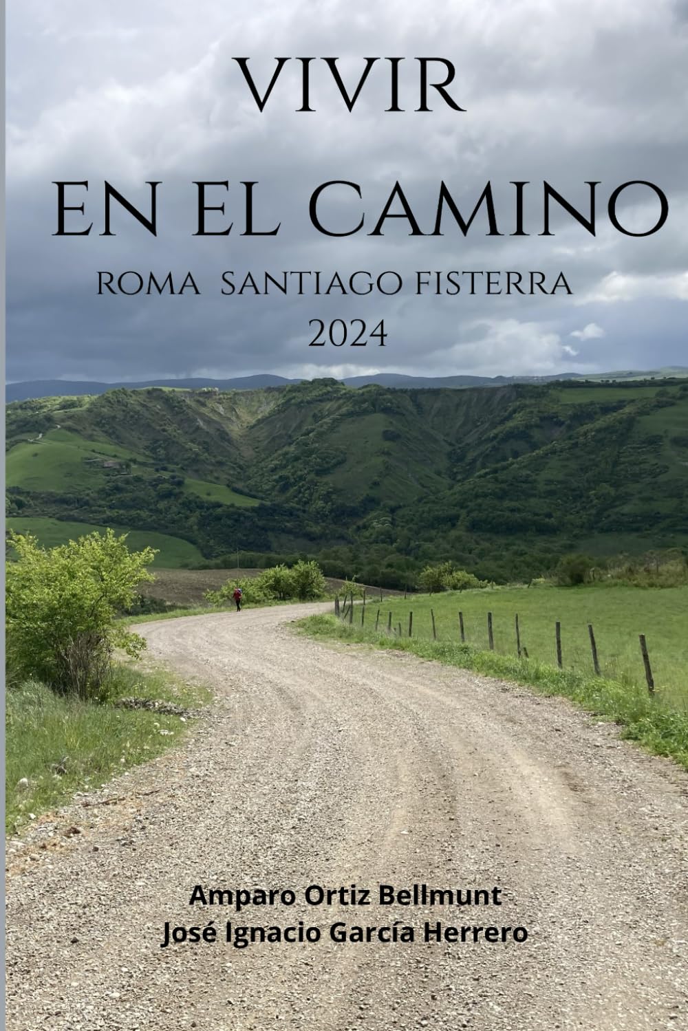Libro: VIVIR EN EL CAMINO: Roma Santiago Fisterra 2024 (Spanish Edition)