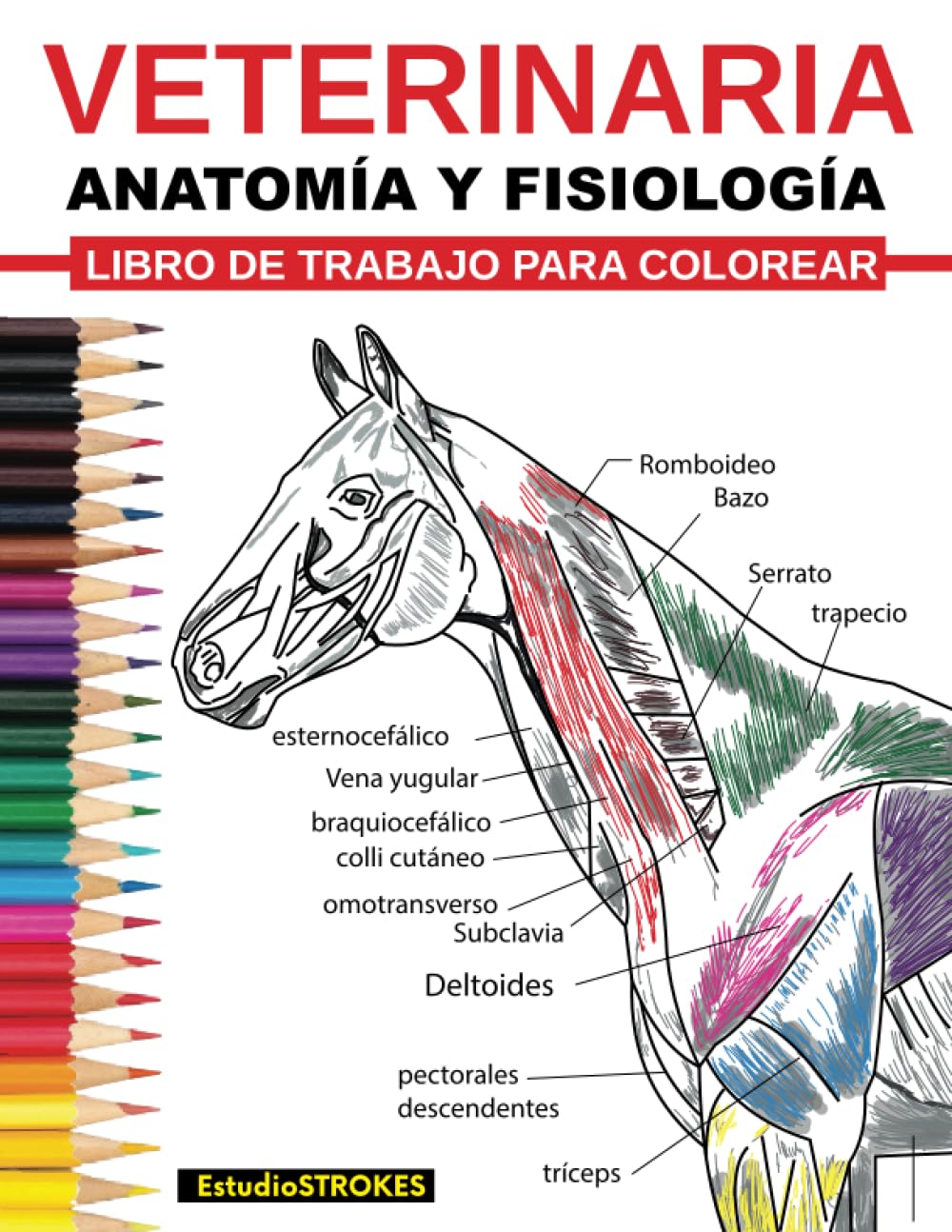 Libro: Veterinaria Ibro De Trabajo Para Colorear Anatomía Y Fisiología Libro De Trabajo Para Colorear: Guía de Estudio de Autoevaluación, Preparación de ... de Medicina Veterinaria y Enfermería