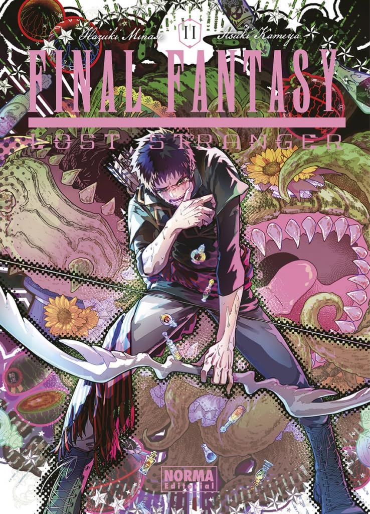 Libro: FINAL FANTASY LOST STRANGER 11