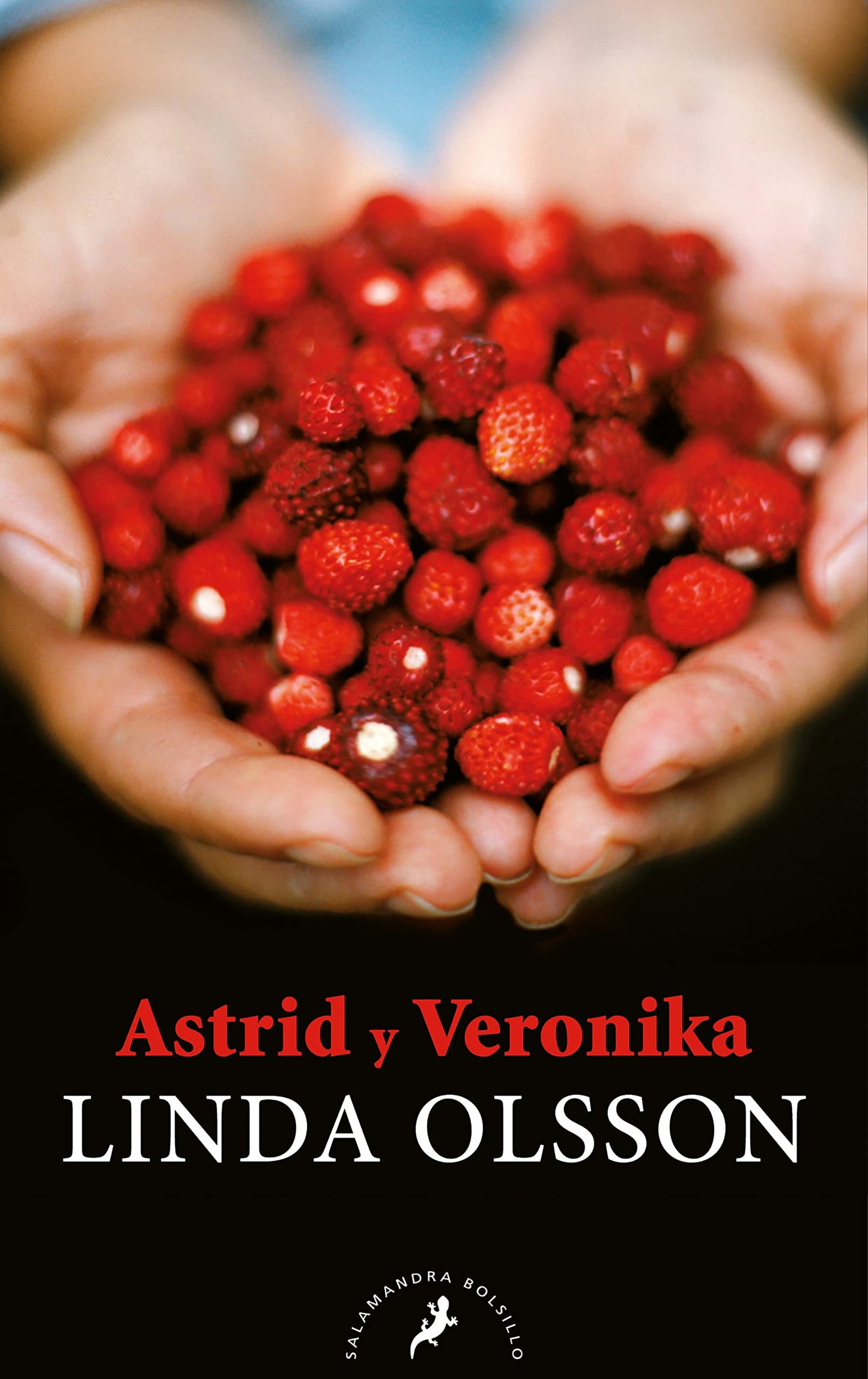 Libro: Astrid y Veronika (Salamandra Narrativa)
