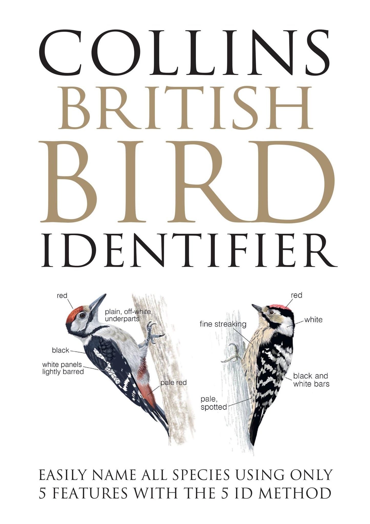 Libro: Collins British Bird Identifier: A revolution in bird identification