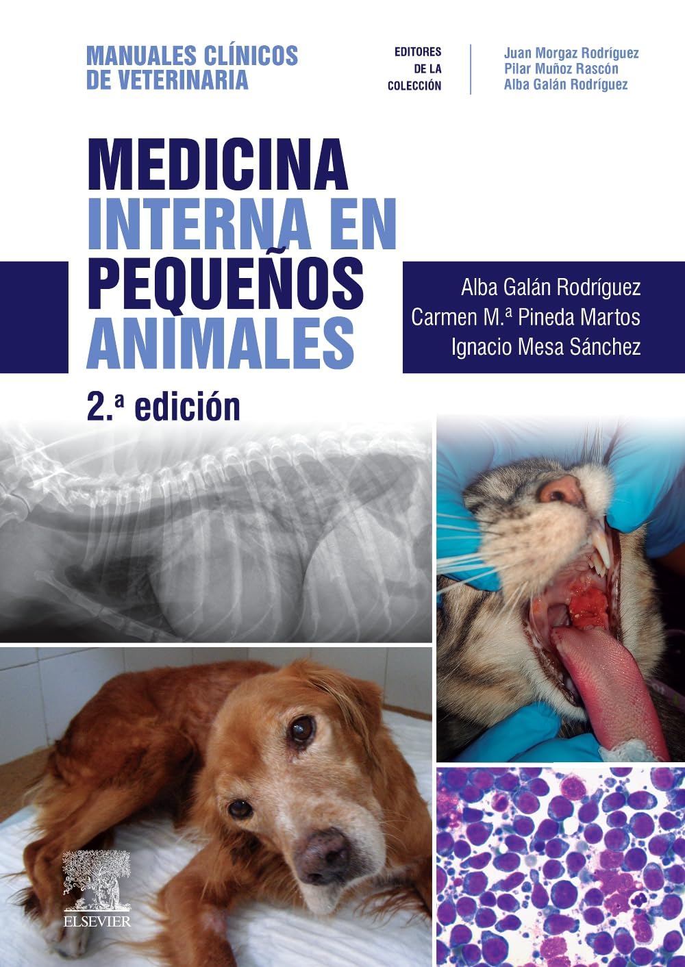 Libro: Medicina interna en pequeños animales: Manuales clínicos de Veterinaria