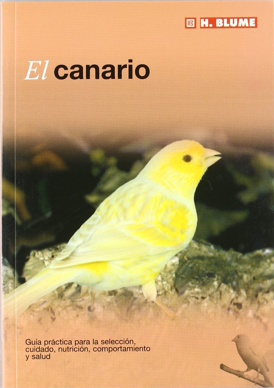 Libro: El canario: 8 (Mascotas)