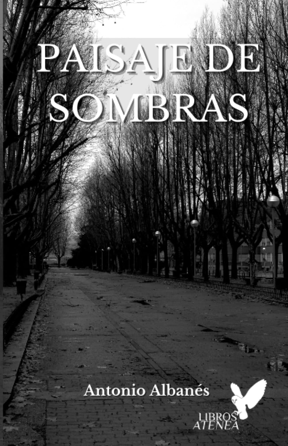 Libro: Paisaje de sombras (Spanish Edition)