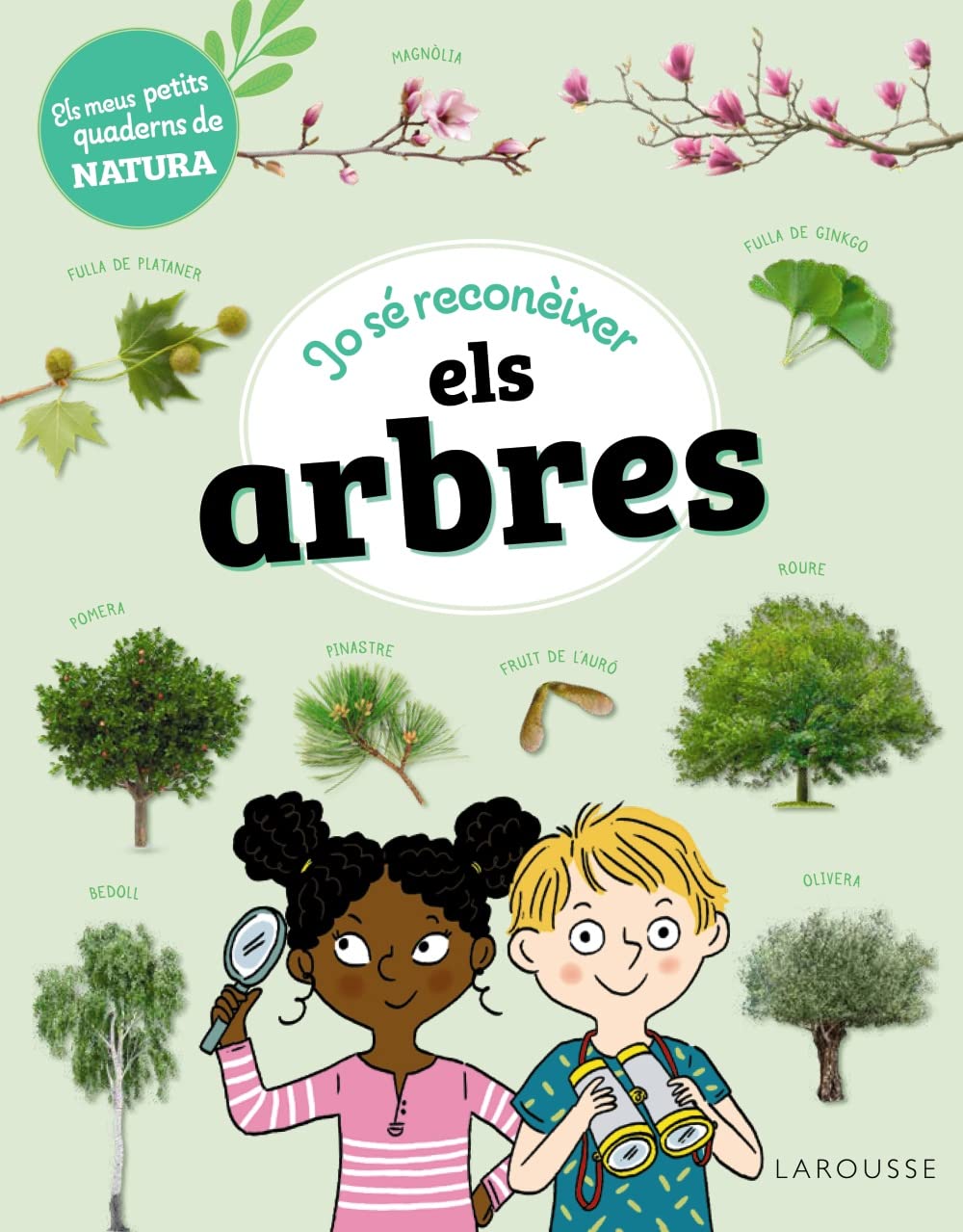Libro: Jo sé reconèixer els arbres: Els meus petits quaderns de natura