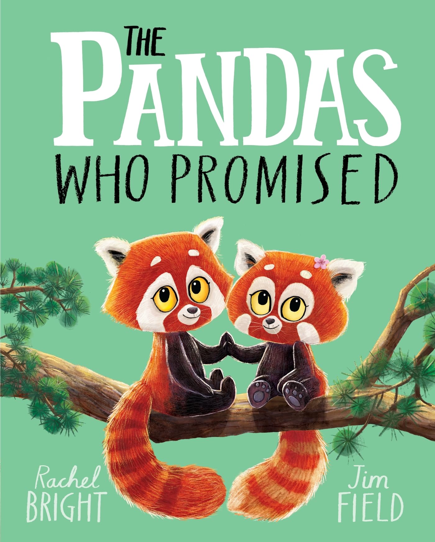 Libro: The Pandas Who Promised: From The World of Rachel Bright & Jim Field