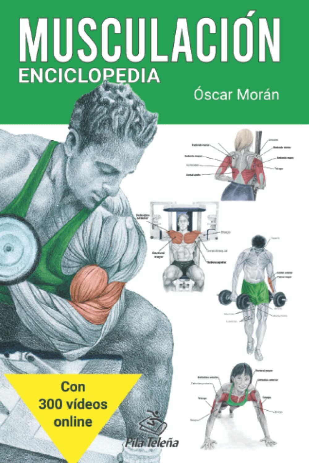 Libro: MUSCULACIÓN: Enciclopedia