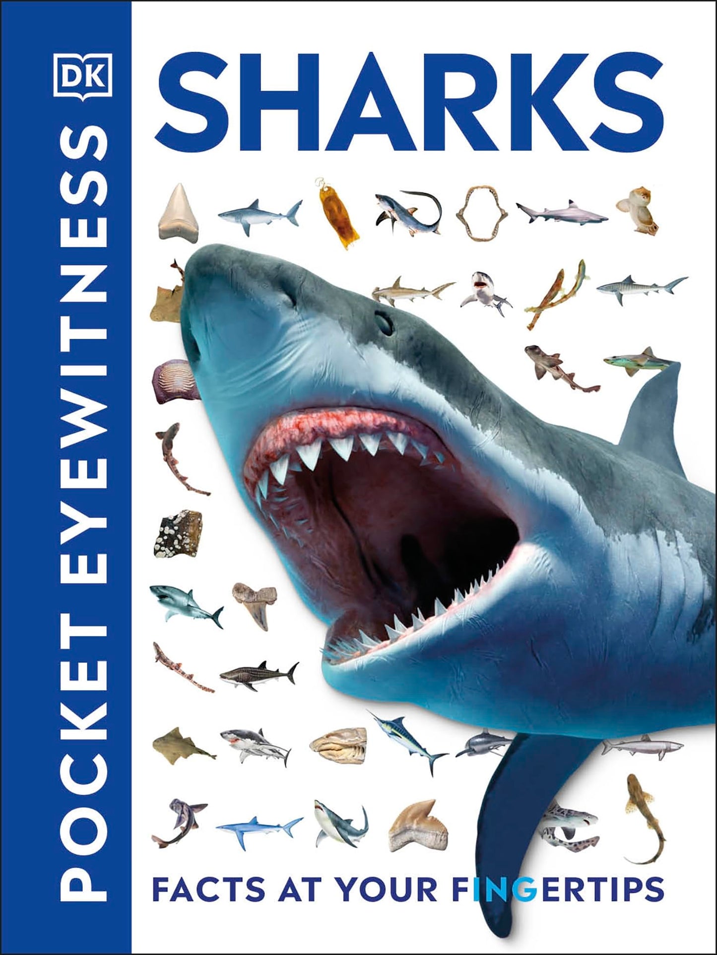 Libro: Pocket Eyewitness Sharks: Facts at Your Fingertips