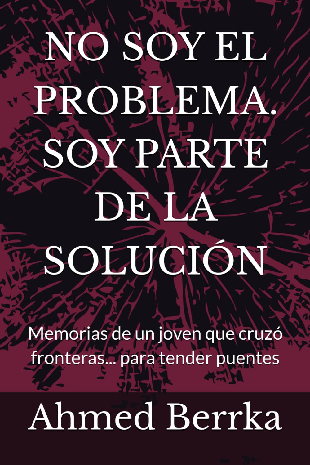 NO SOY EL PROBLEMA. SOY PARTE DE LA SOLUCIÓN: Memorias de un joven que cruzó fronteras... para tender puentes