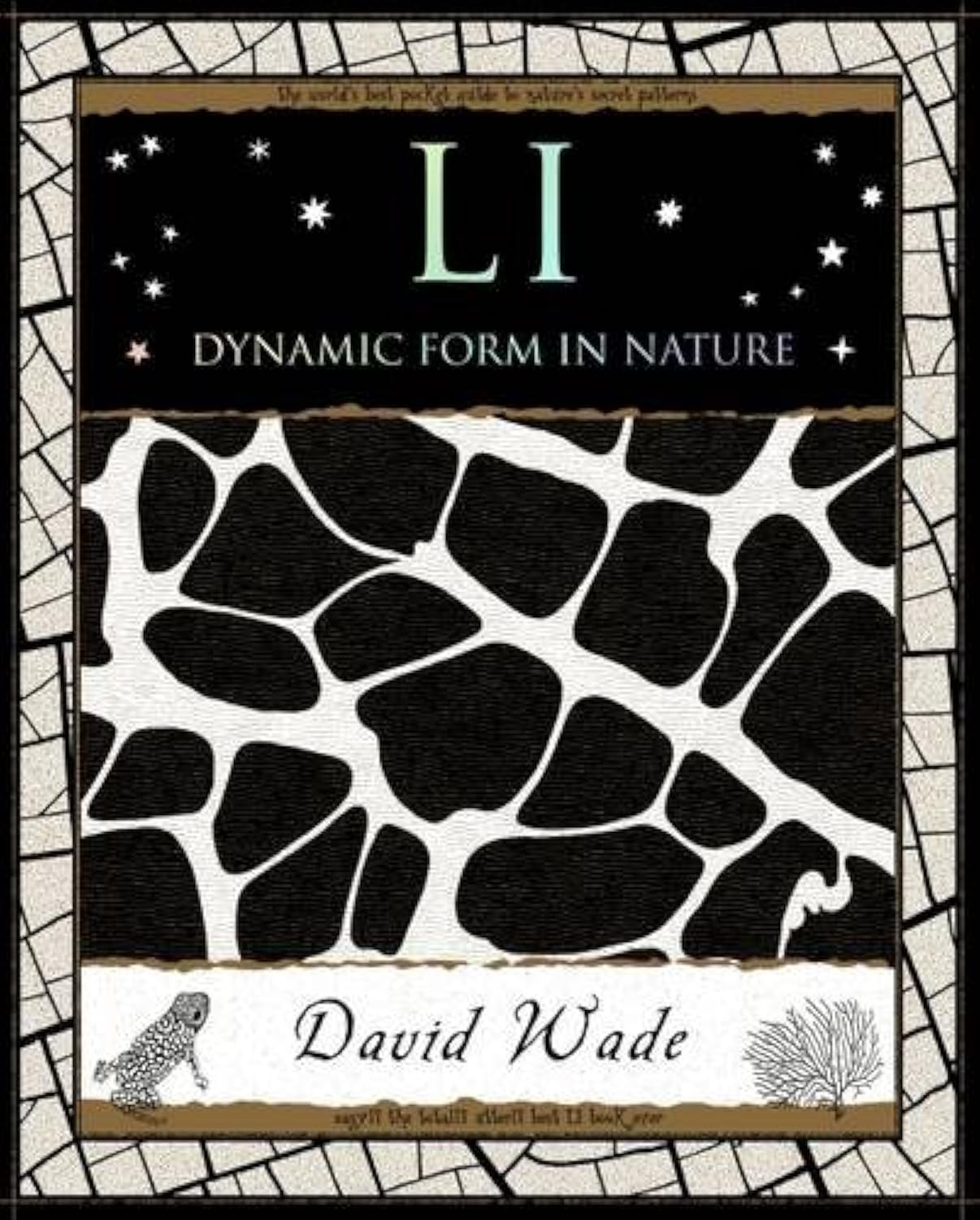 Libro: Li: Dynamic Form in Nature (Mathemagical Ancient Wizdom)