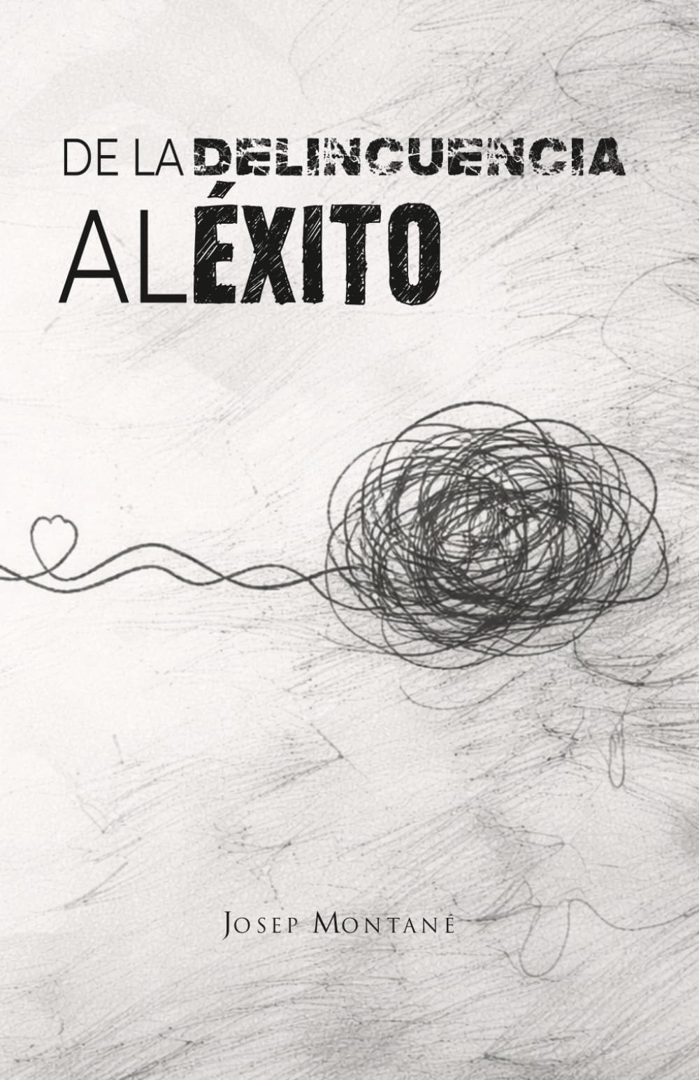 Libro: De la delincuencia al éxito