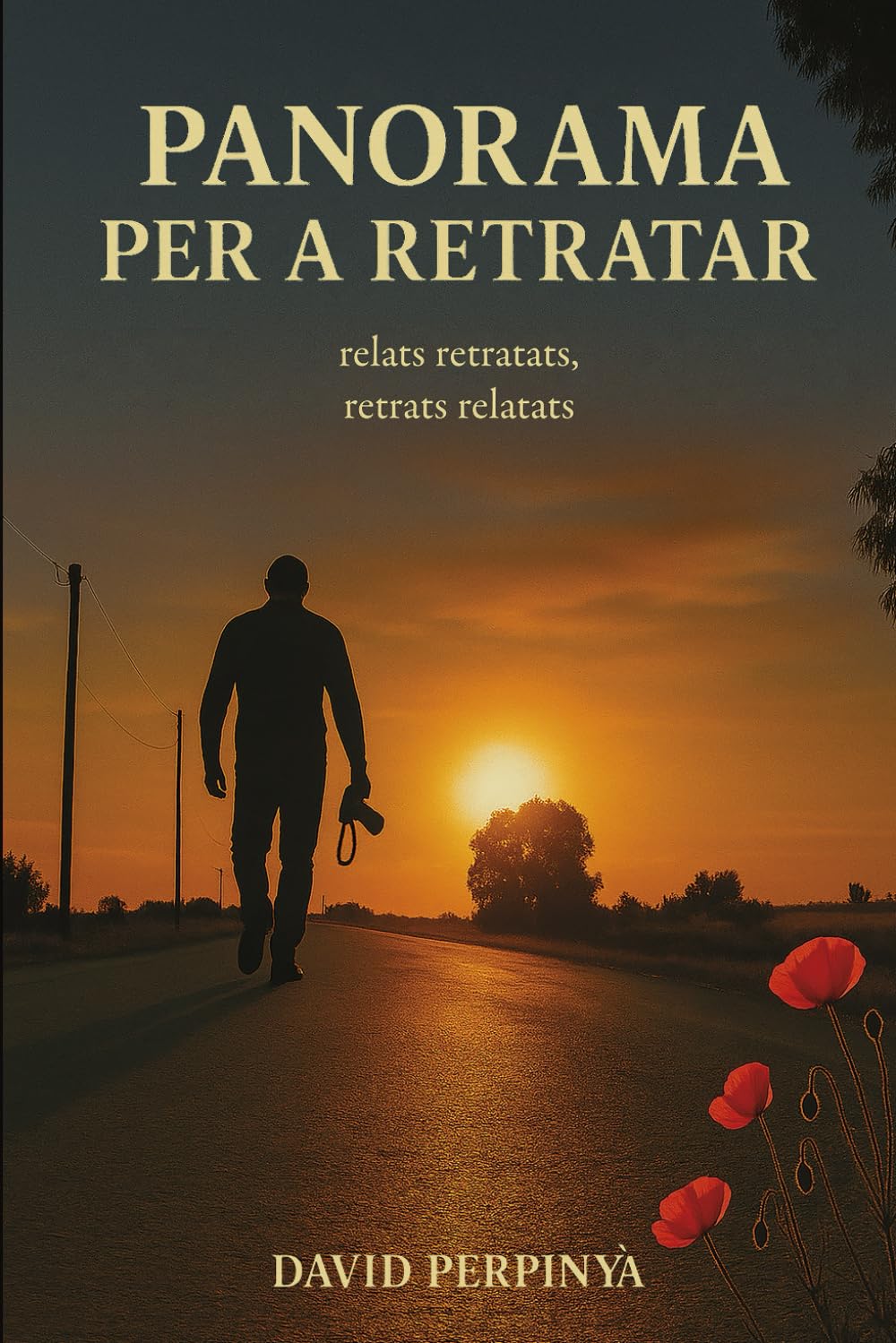 Libro: Panorama per a retratar