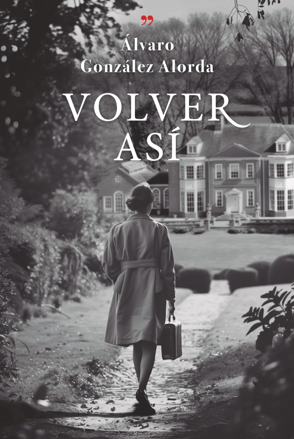 Libro: VOLVER ASÍ (Spanish Edition)