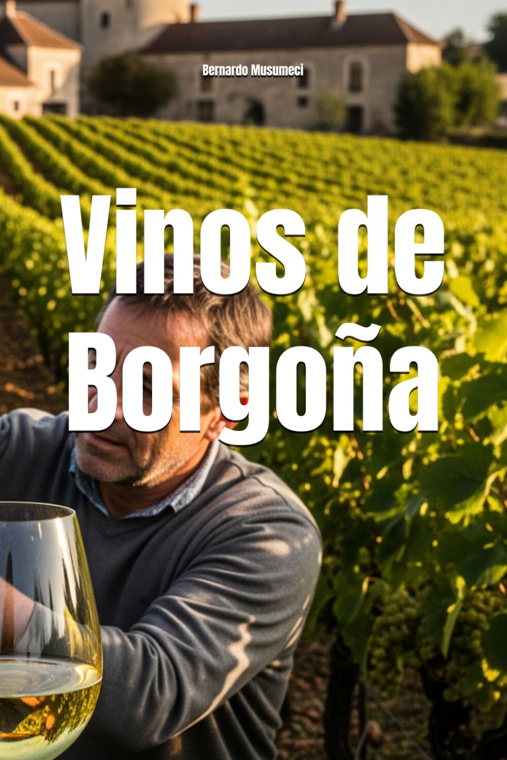 Libro: Vinos alrededor del mundo: Borgoña (Wines of the World: France)