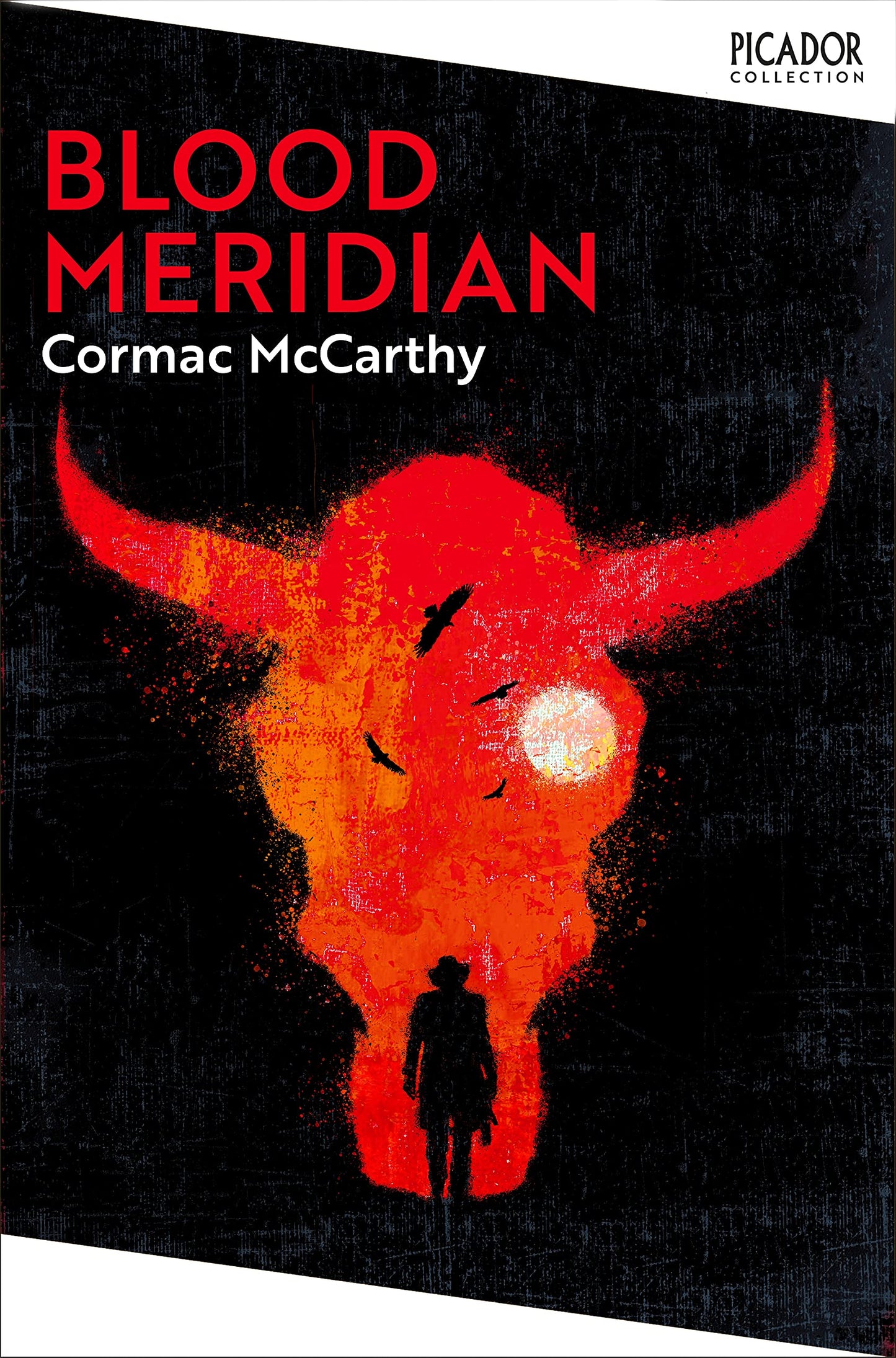 Libro: Blood meridian, or The evening redness in the West: Cormac McCarthy (Picador collection)