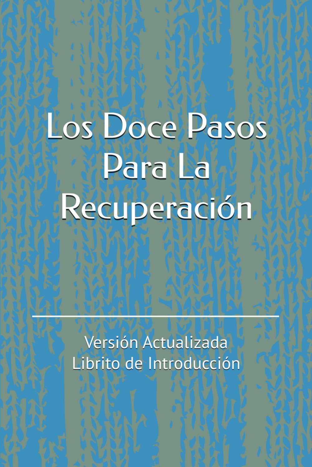 Libro: Los 12 Pasos Para La Recuperación: Versión Actualizada – Librito de Introducción