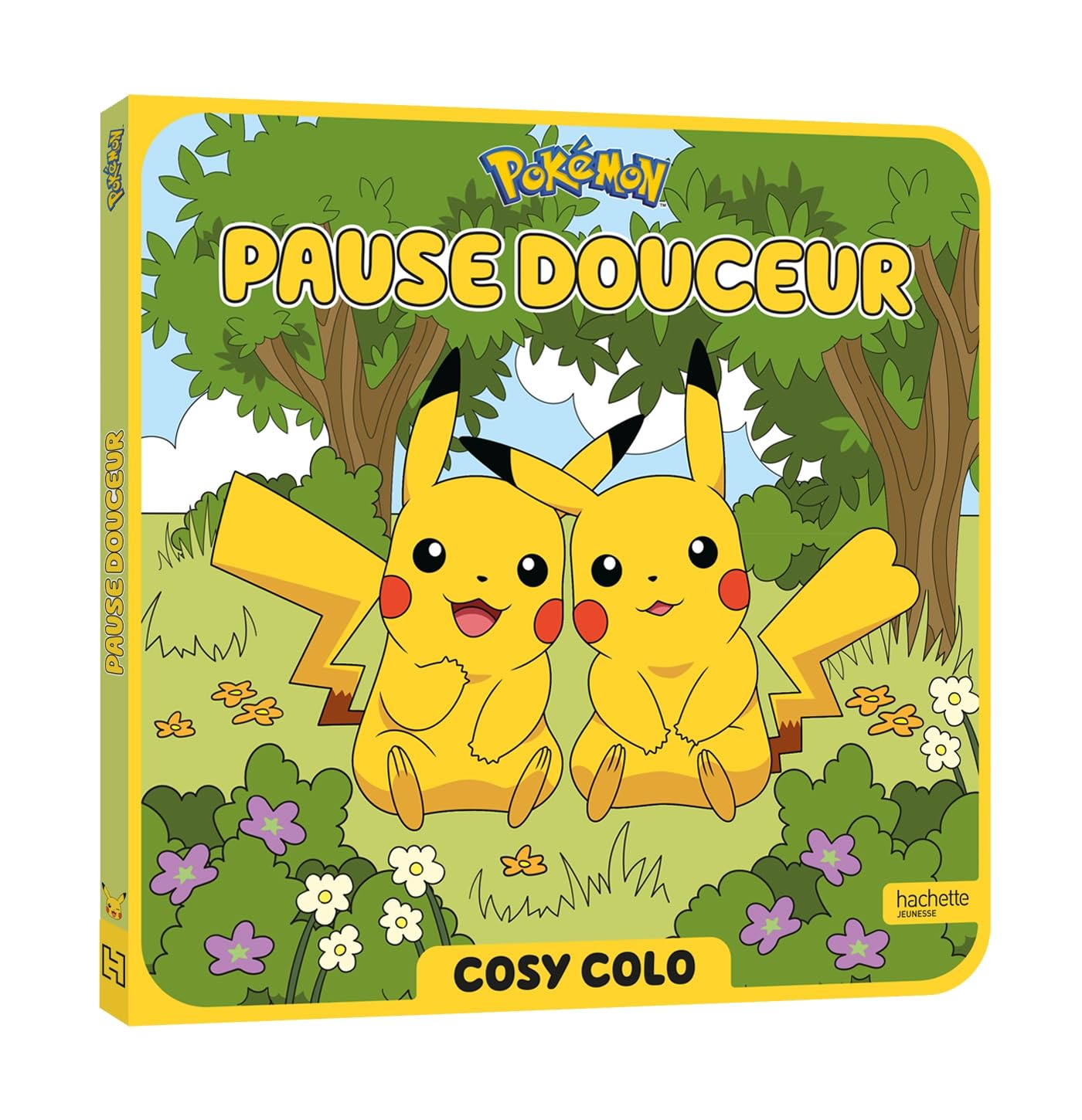 Libro: Pause douceur Pokémon