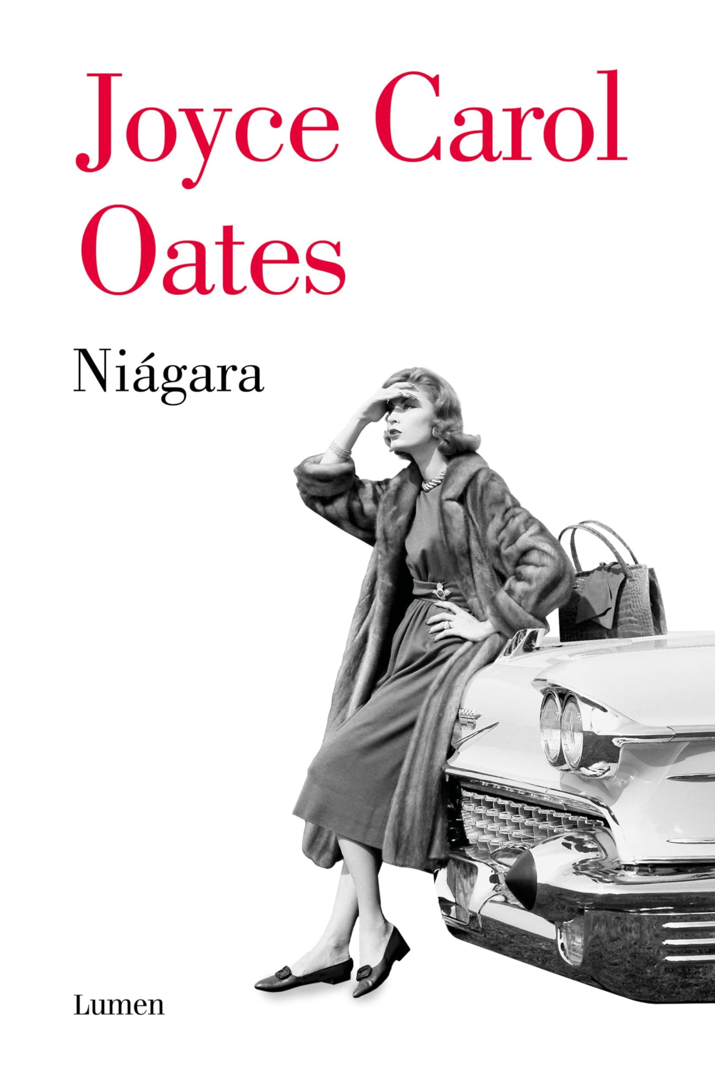 Libro: Niágara