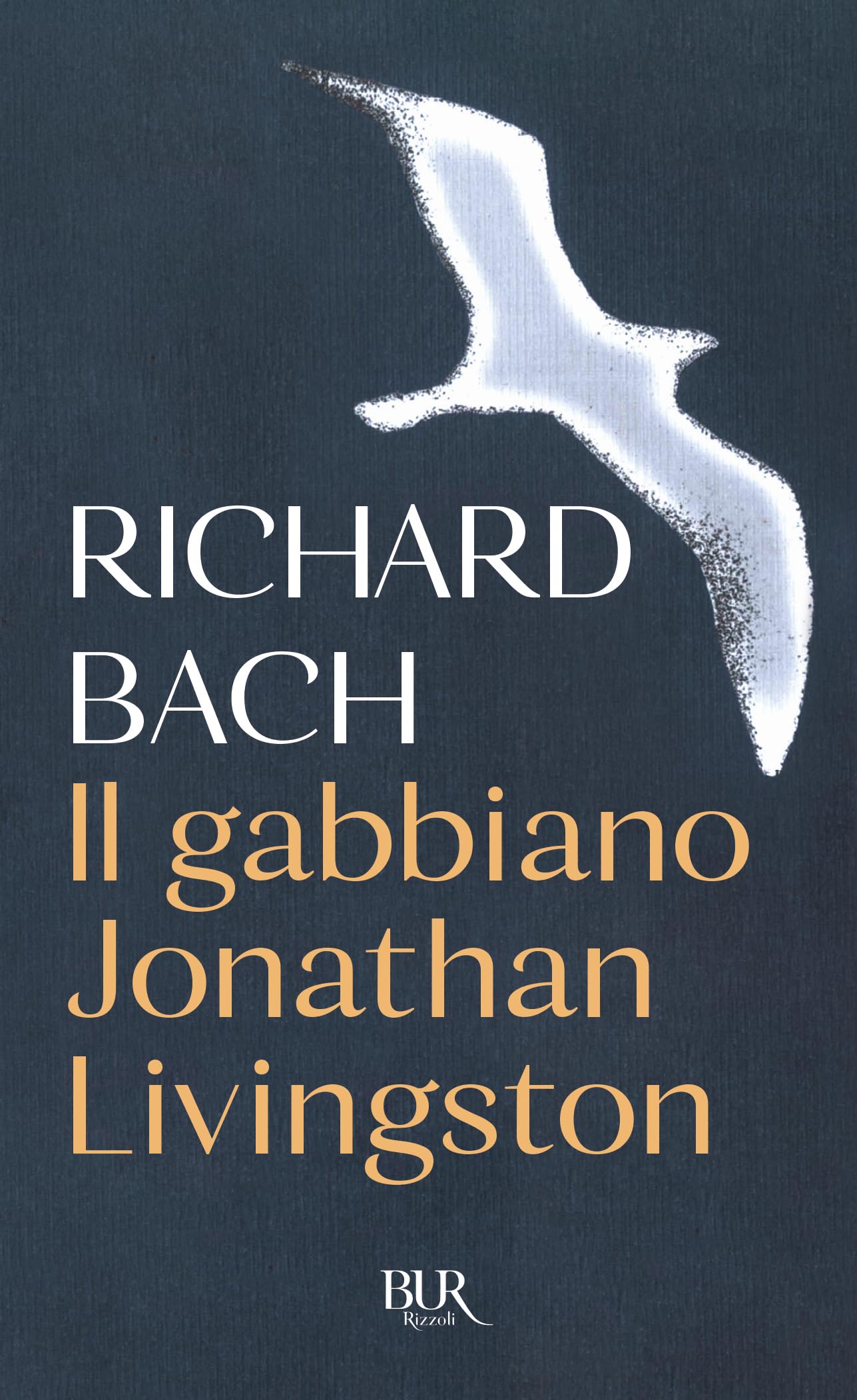 Libro: Il Gabbiano Jonathan Livingston (Italian Edition)