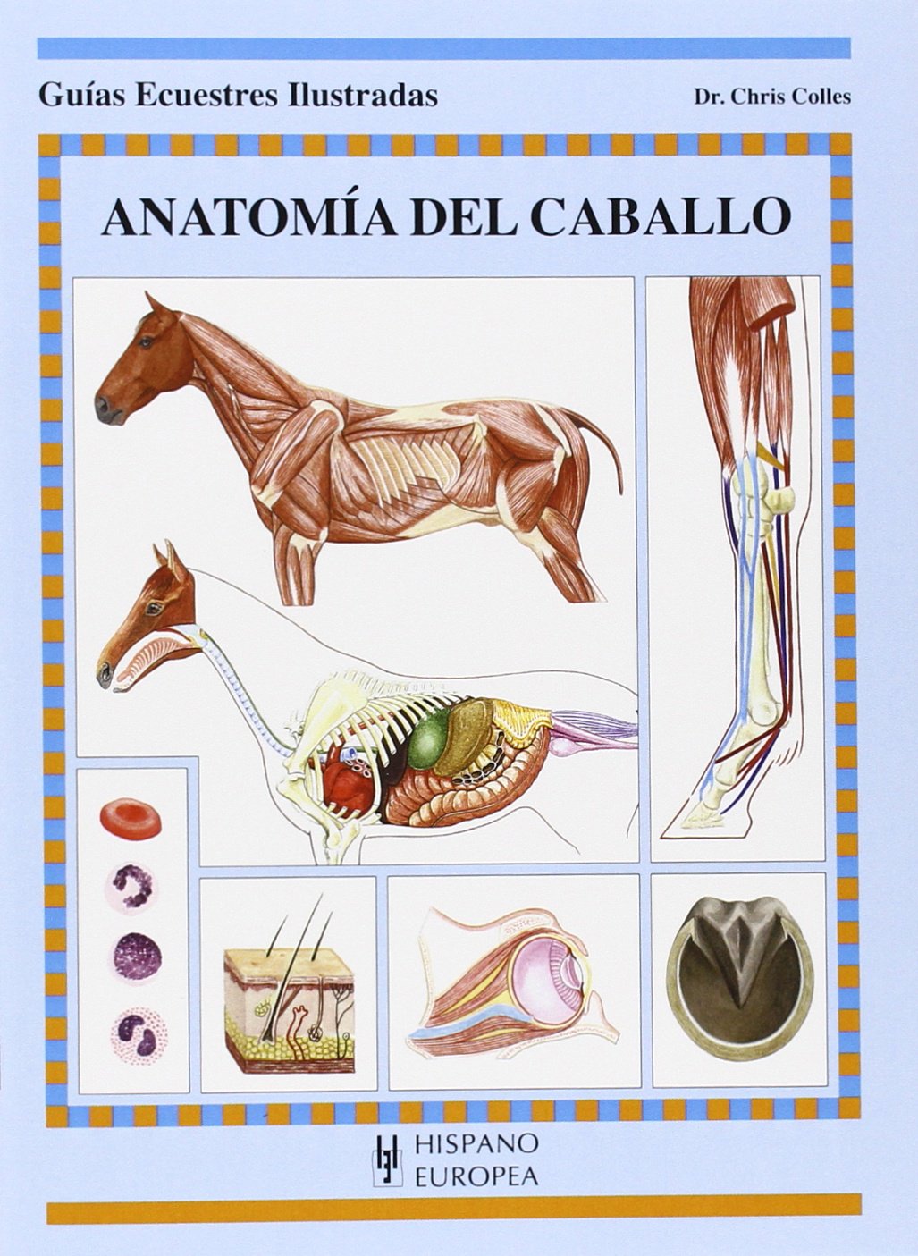 Libro: Anatomía del caballo (Guías ecuestres ilustradas)