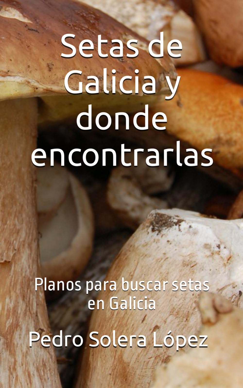 Libro: Setas de Galicia y donde encontrarlas: Planos para buscar setas en Galicia (Spanish Edition)