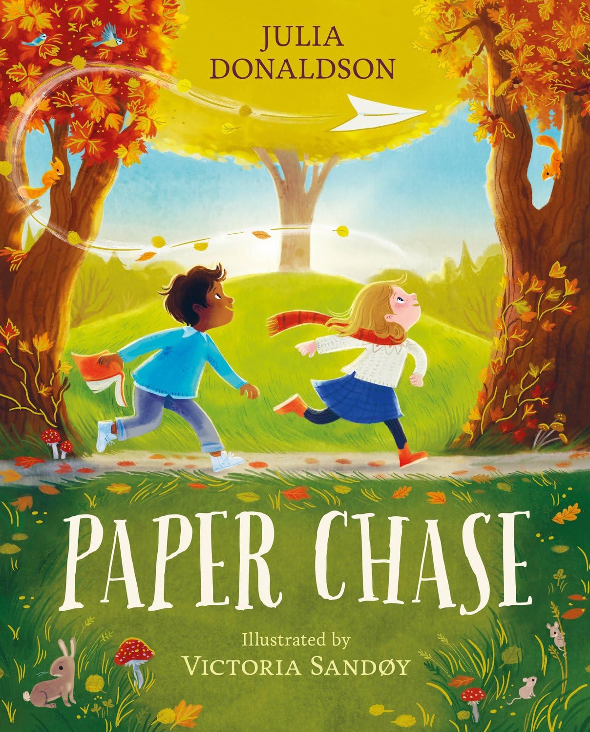 Libro: Paper Chase: a captivating story of friendship by Julia Donaldson, author of The Gruffalo and Stick Man