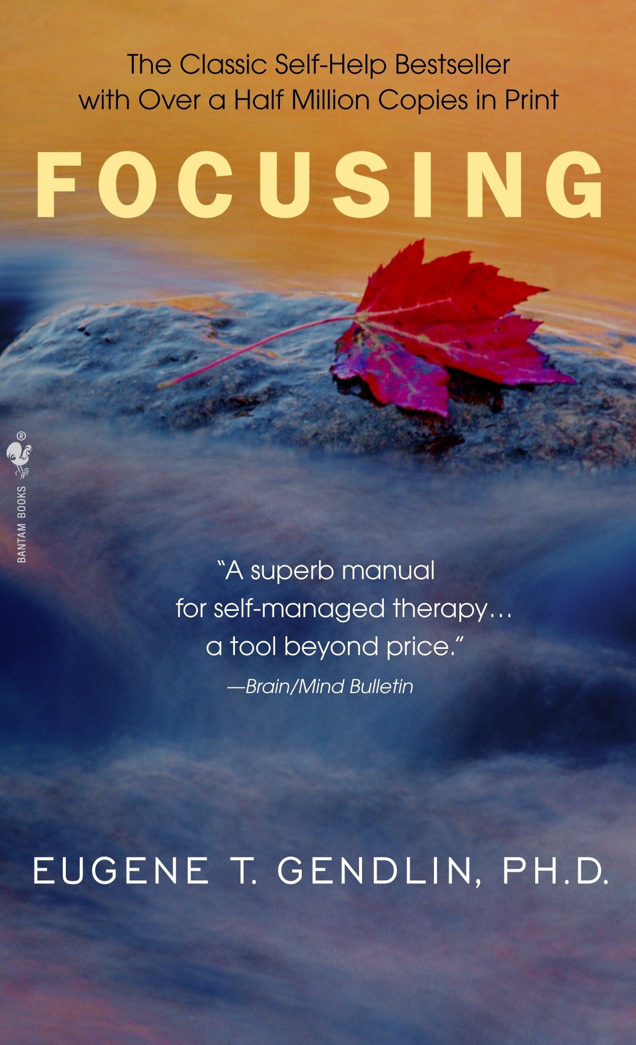 Libro: Focusing