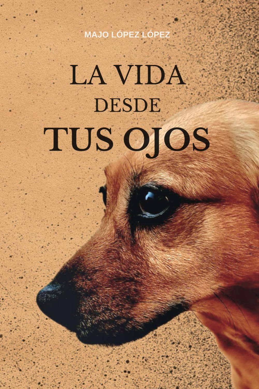 Libro: La vida desde tus ojos: La historia de un vínculo eterno