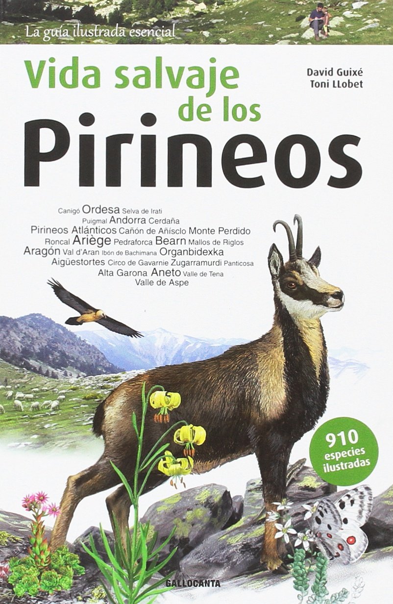 Libro: Vida Salvaje de Los Pirineos: 2 (La guia essencial)
