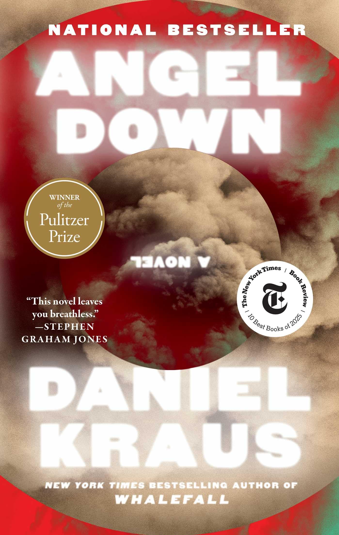 Libro: Angel Down (Pulitzer Prize Winner): A Novel