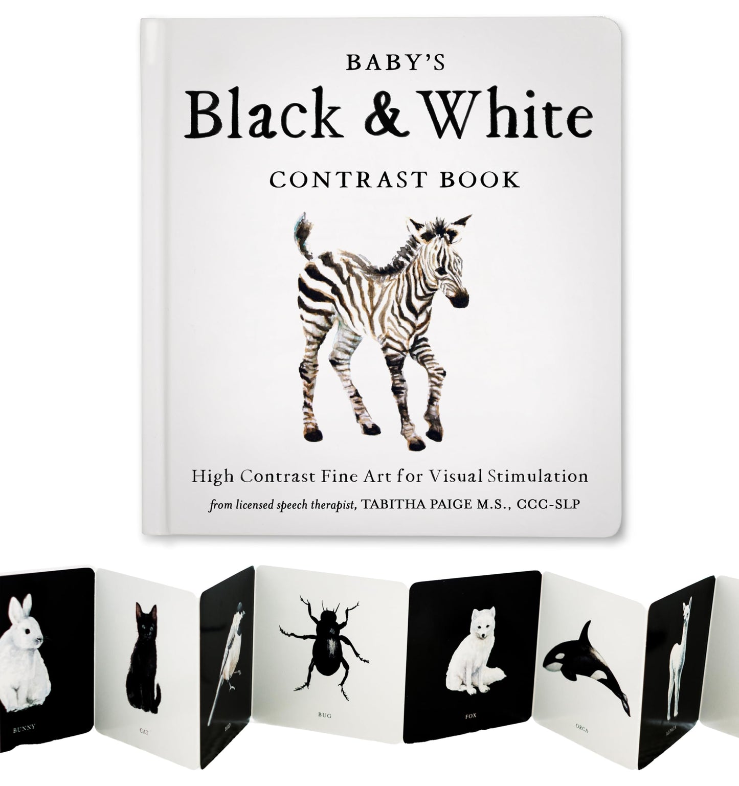 Baby's Black and White Contrast Book: High-Contrast Art for Visual Stimulation at Tummy Time: 4 (Our Little Adventures Series)