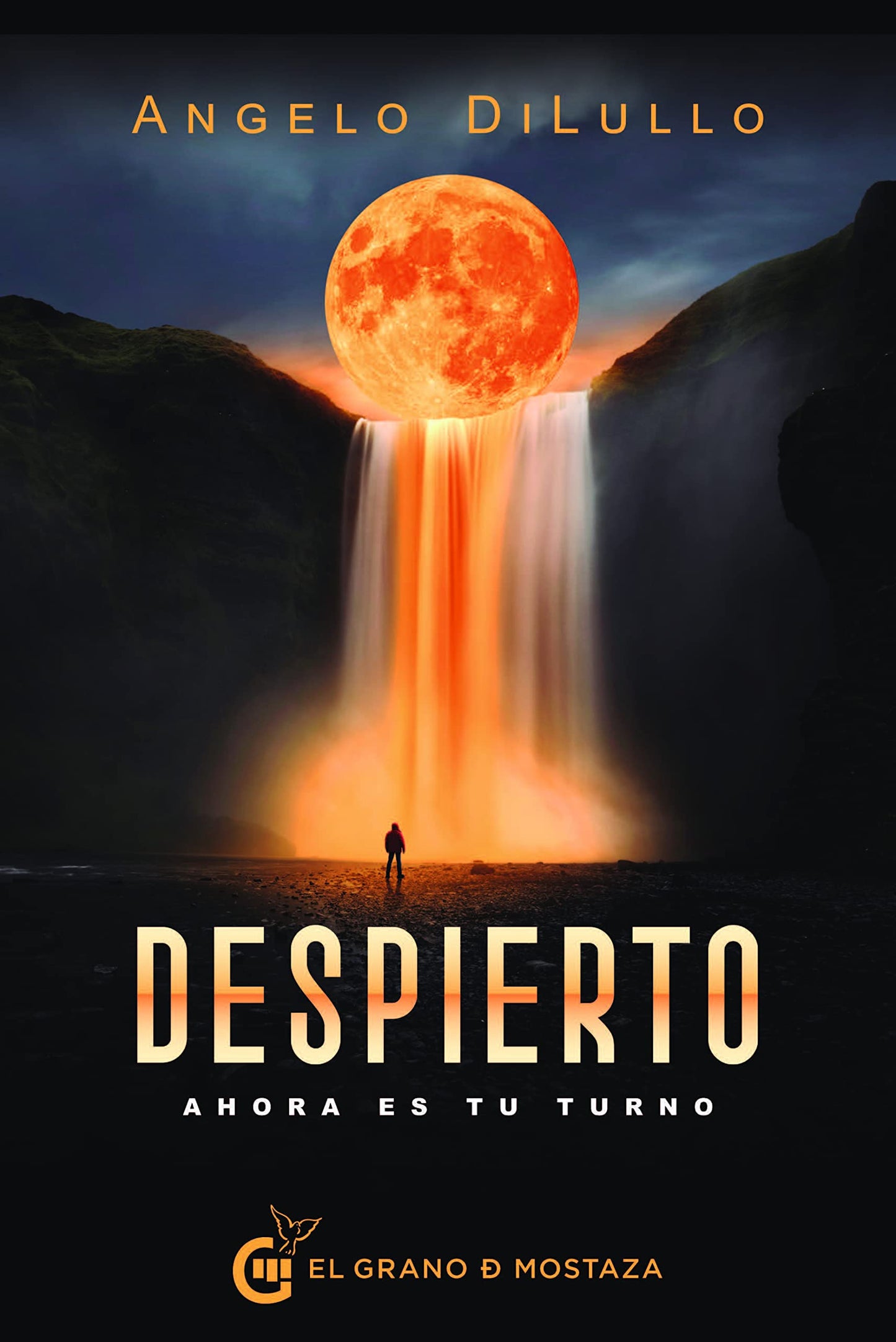 Libro: DESPIERTO: AHORA ES TU TURNO (SIN COLECCION)