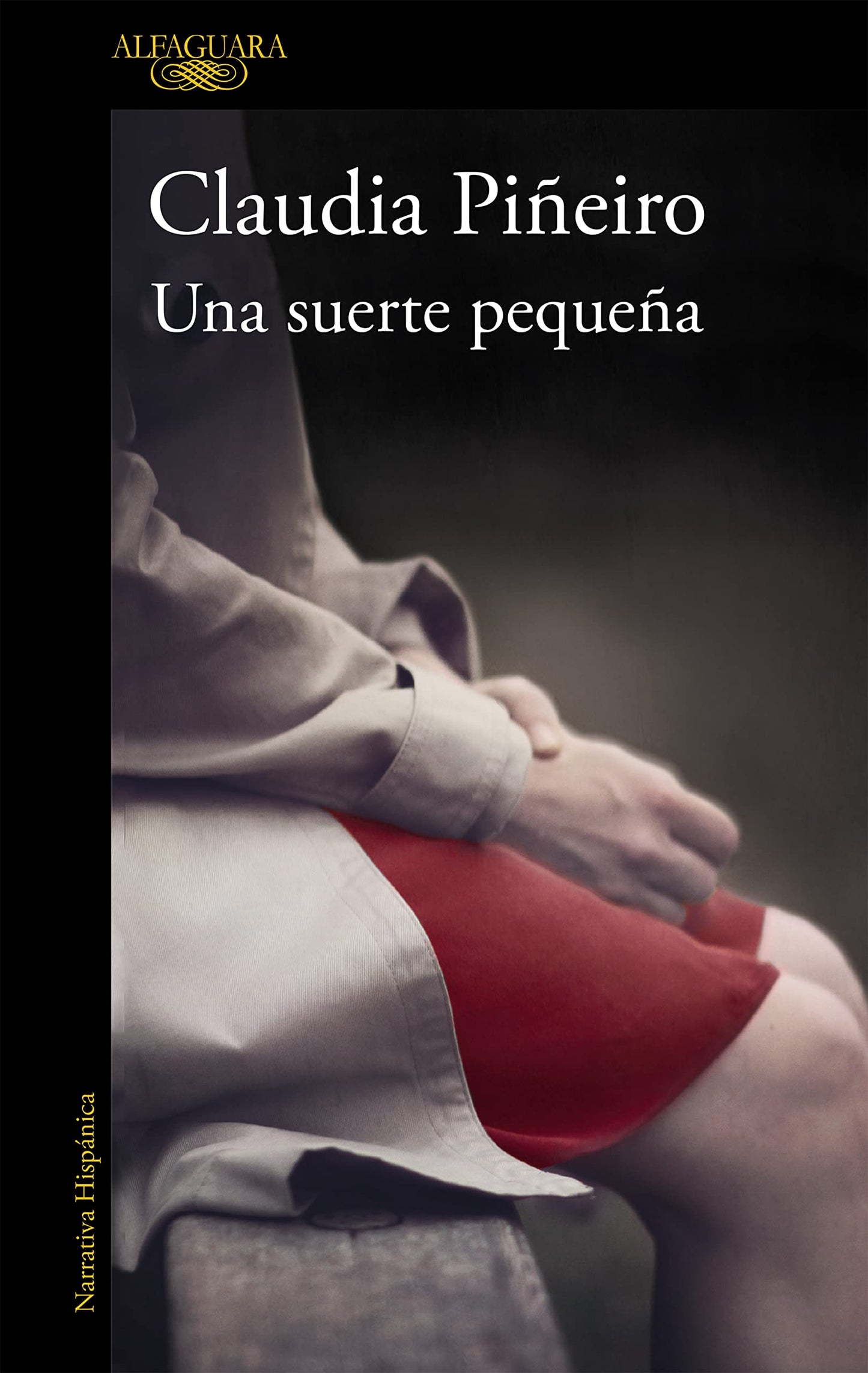 Libro: Una suerte pequeña (Hispánica)