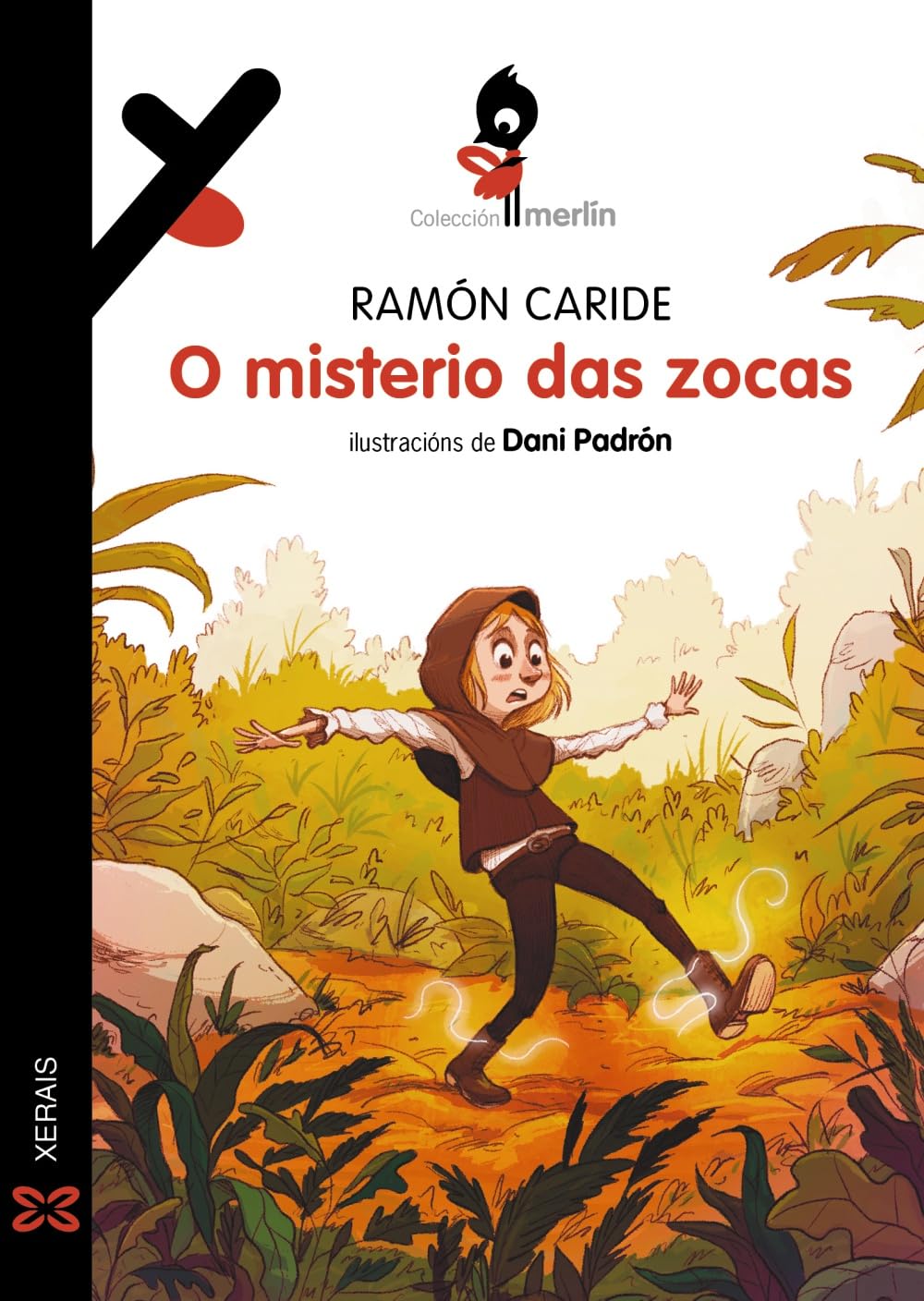 Libro: O misterio das zocas
