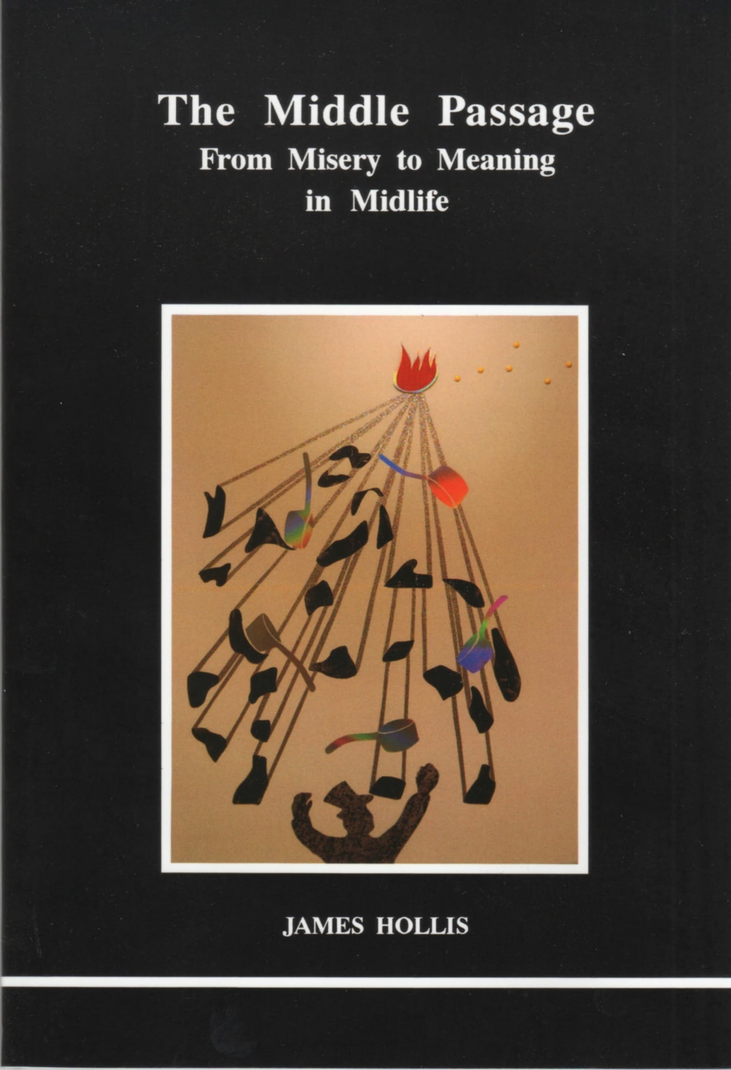 Libro: The Middle Passage: From Misery to Meaning in Midlife (STUDIES IN JUNGIAN PSYCHOLOGY BY JUNGIAN ANALYSTS)