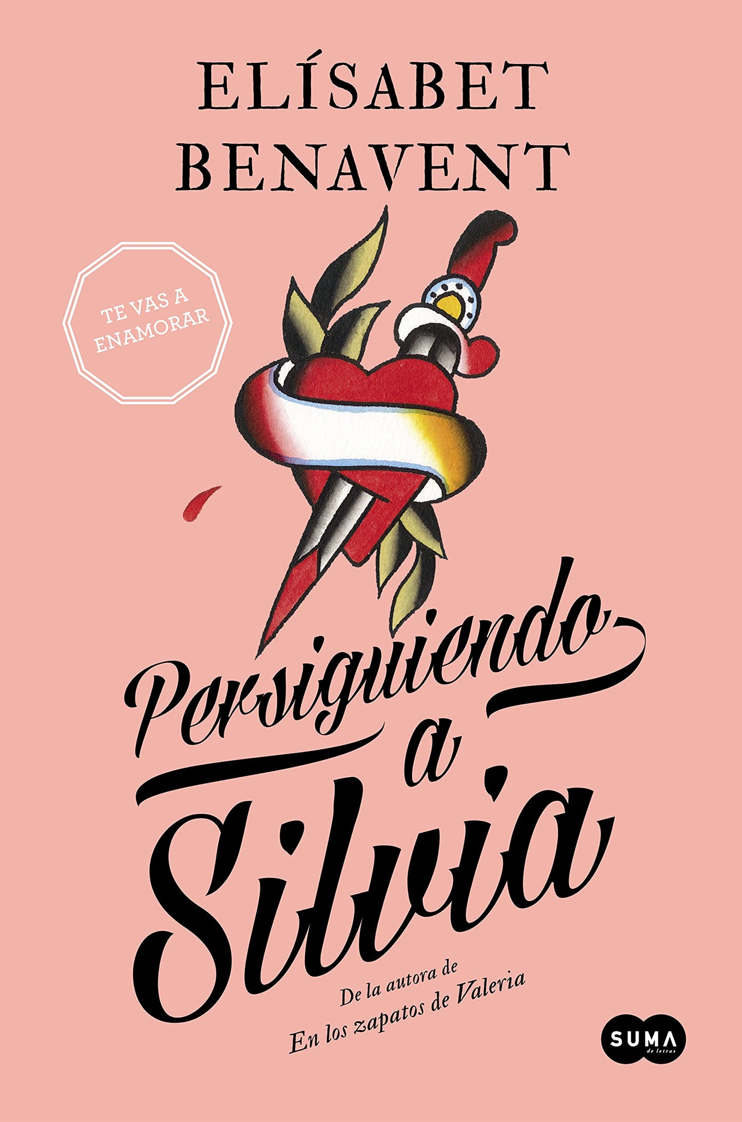 Libro: Persiguiendo a Silvia (Saga Silvia 1)
