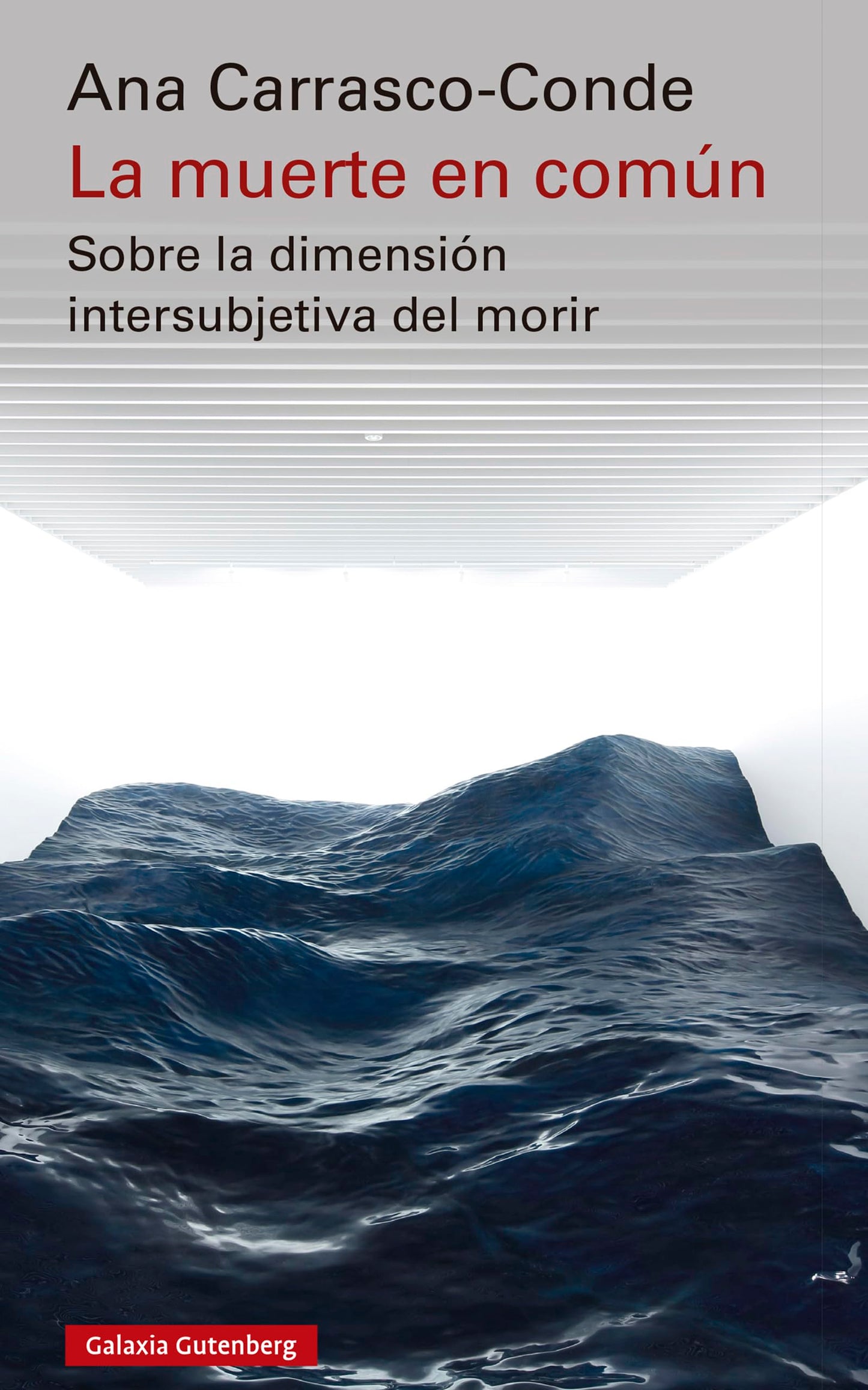 Libro: La muerte en común: Sobre la dimensión intersubjetiva del morir (Spanish Edition)
