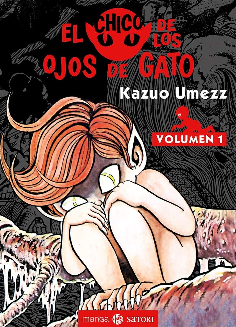 Libro: EL CHICO DE LOS OJOS DE GATO 1