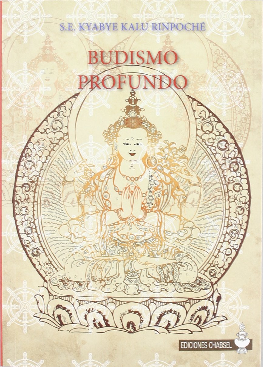 Libro: Budismo profundo (SIN COLECCION)