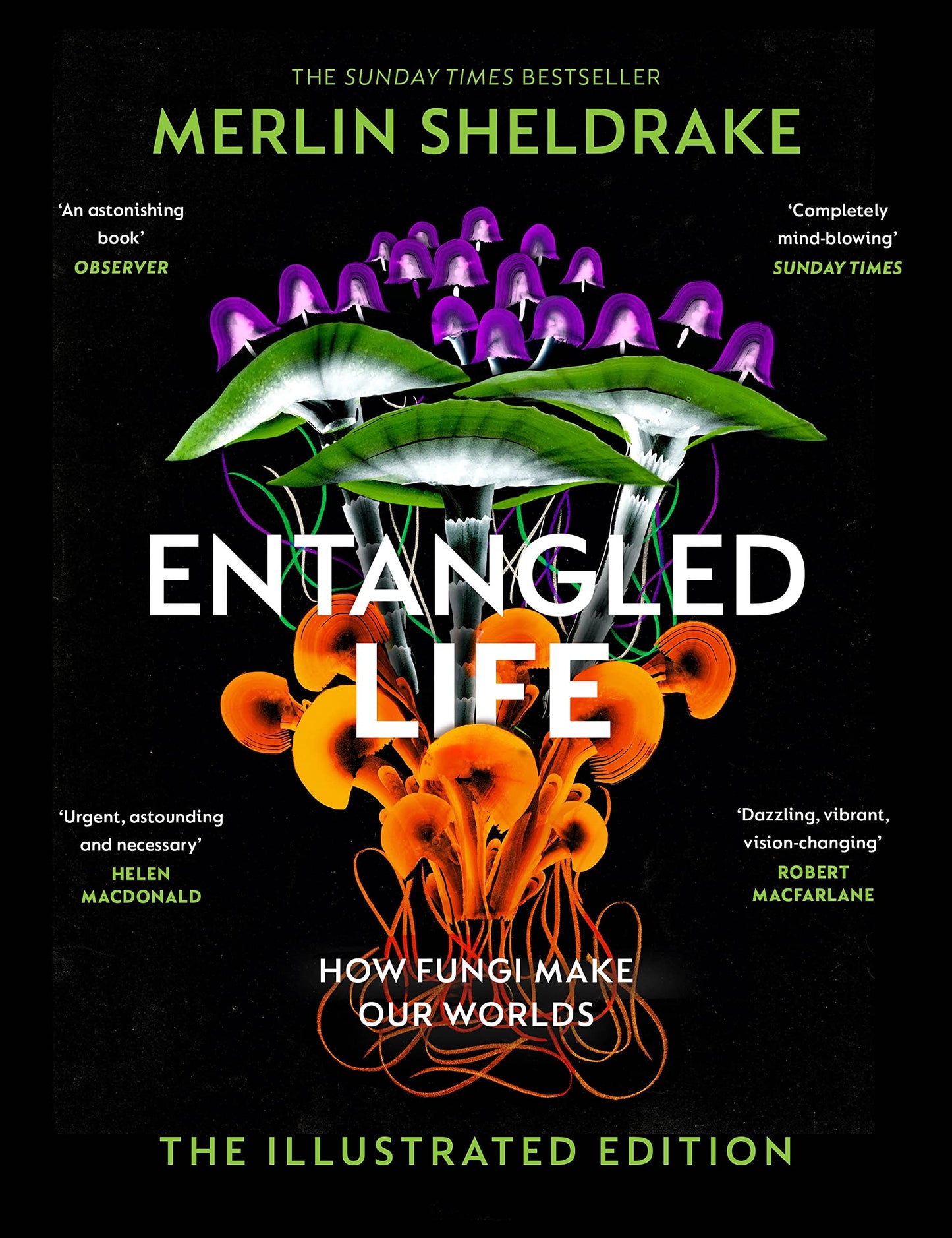 Libro: Entangled Life (The Illustrated Edition): A beautiful new edition of the Sunday Times bestseller featuring 100 illustrations