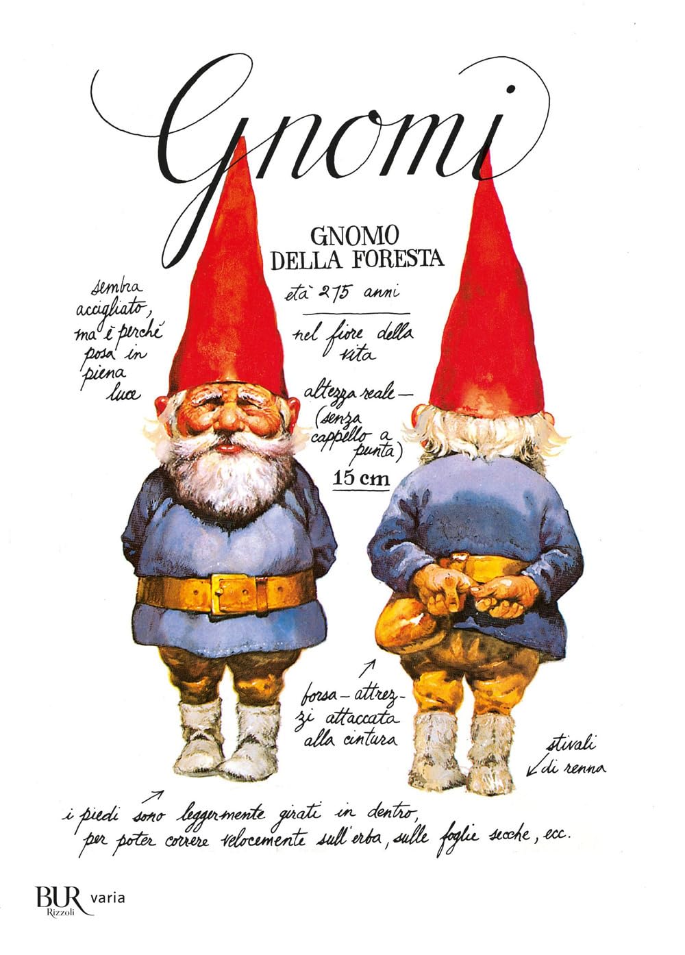 Libro: Gnomi