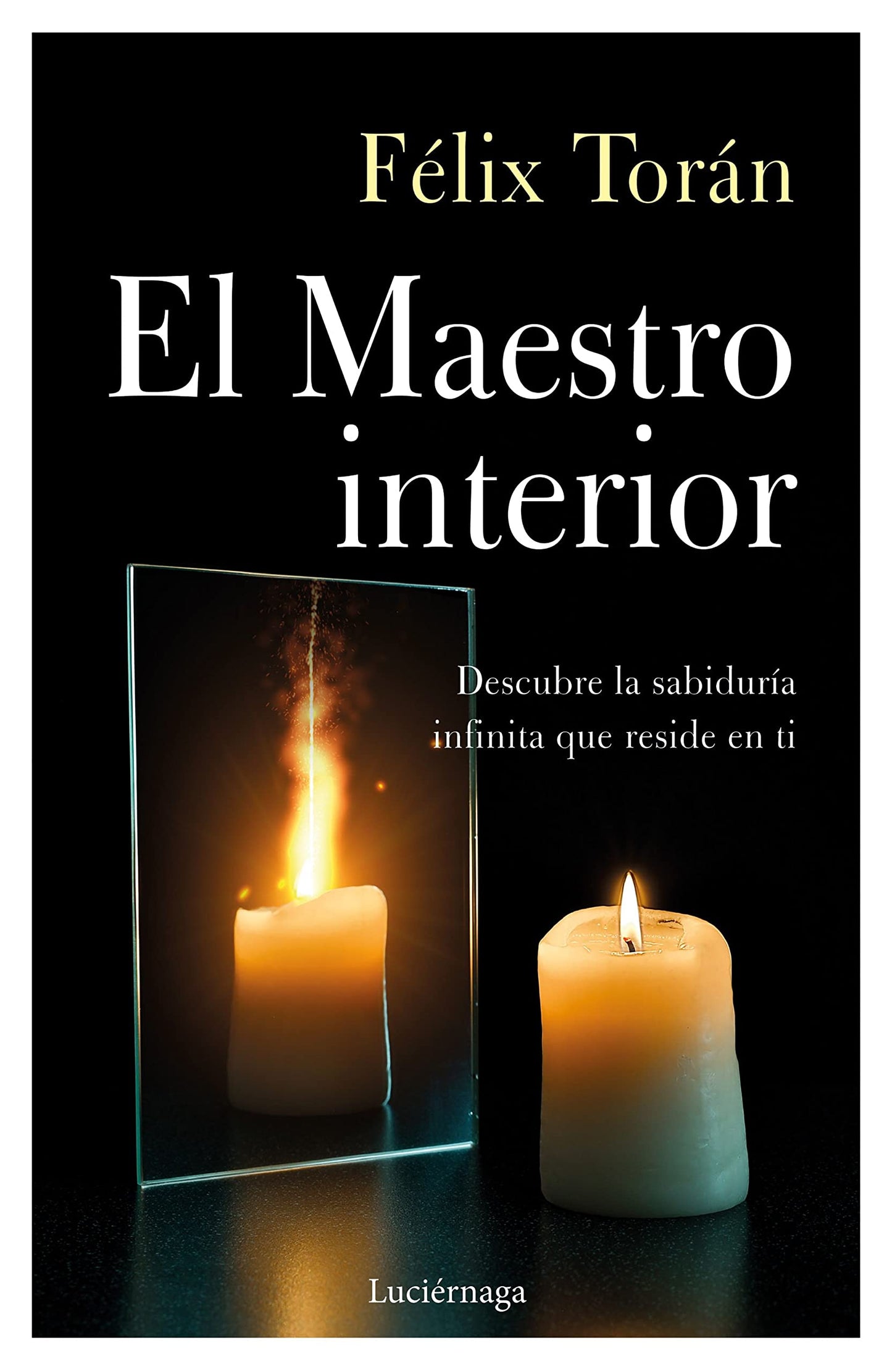 Libro: El Maestro interior: Descubre la sabiduría infinita que reside en ti (TESTIMONIOS Y VIVENCIAS)