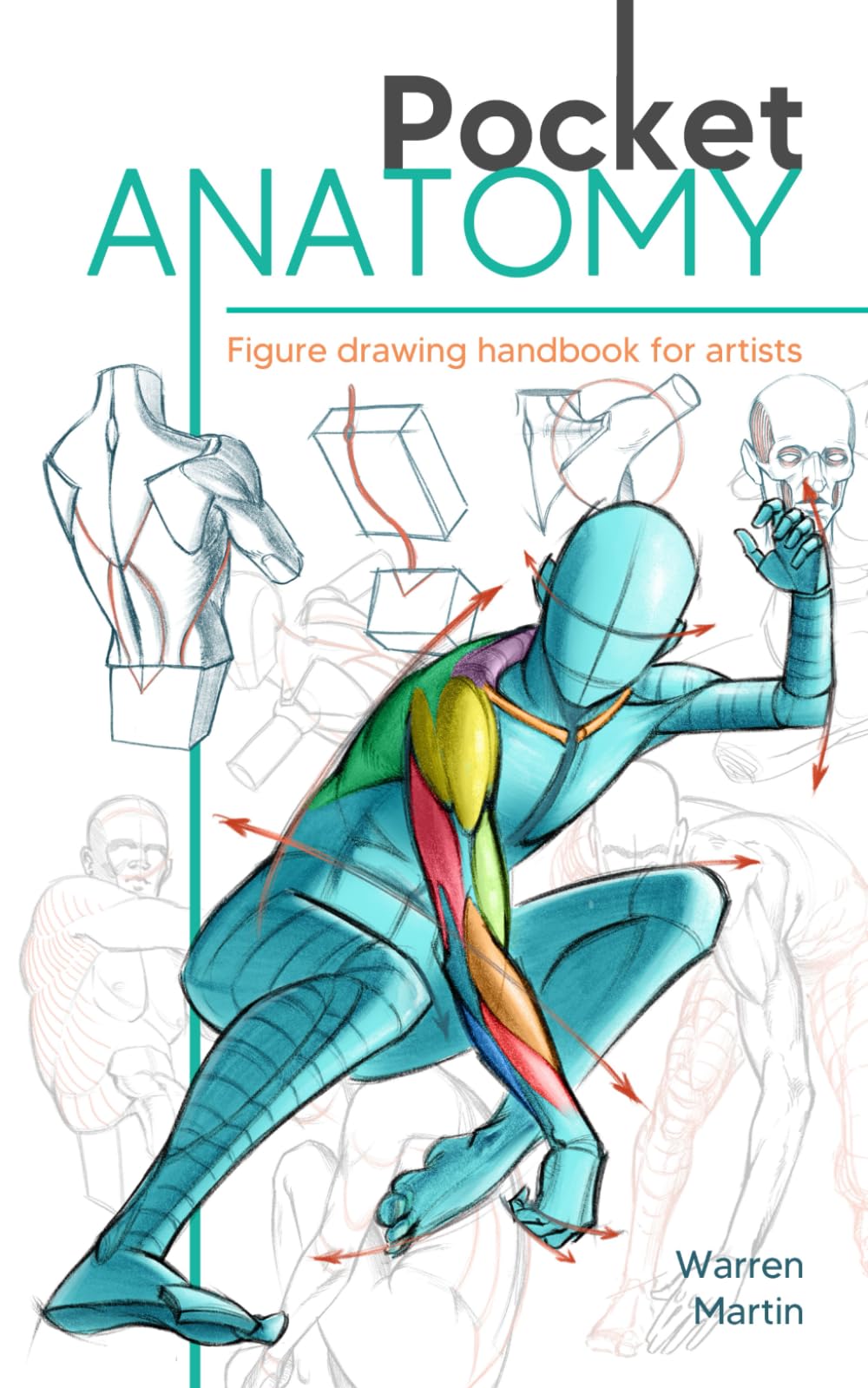 Libro: Pocket Anatomy: Figure Drawing Handbook in Color for Artists, Learning How to Draw Human Body by Simplifying the Complex Structures of the Body and Understanding the Human Form