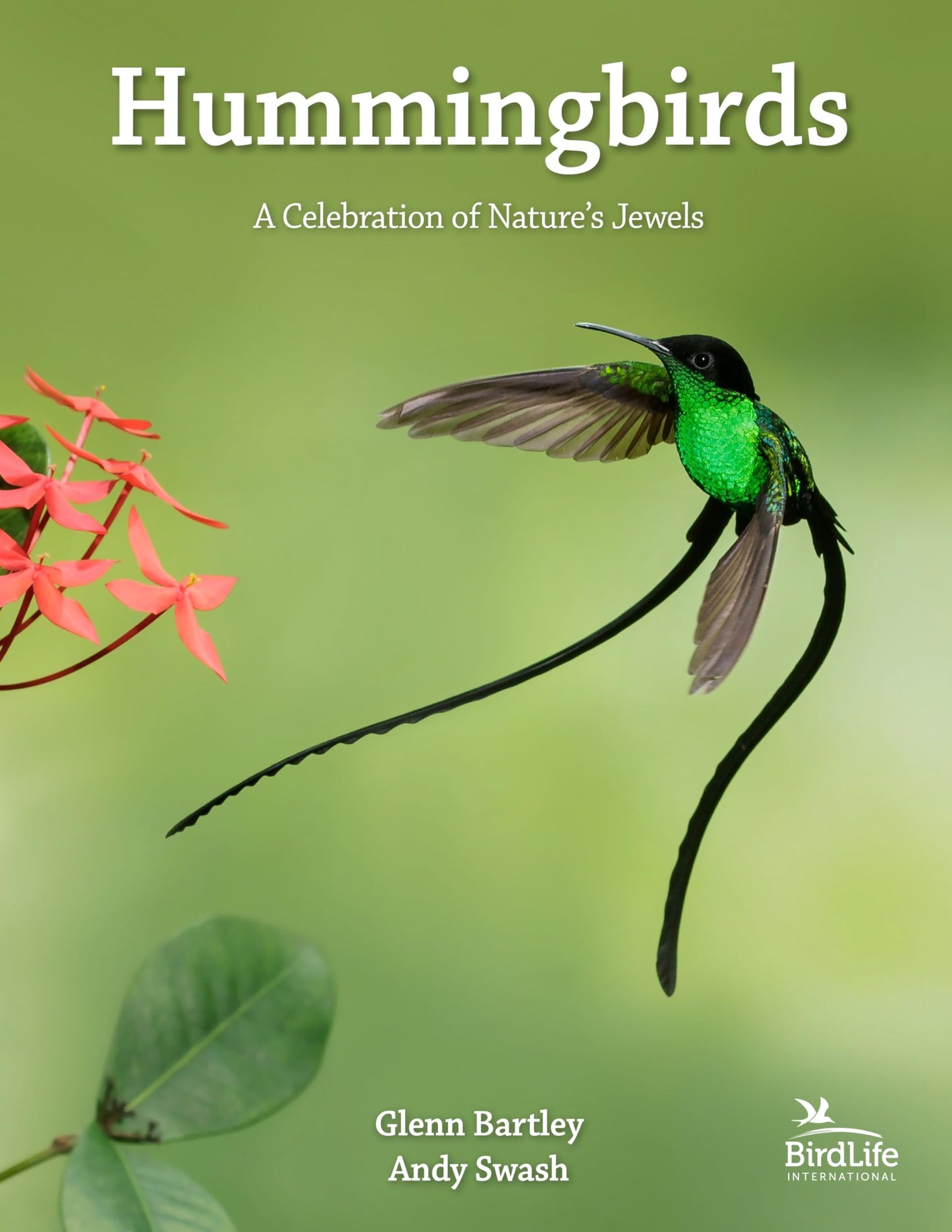 Libro: Hummingbirds: A Celebration of Nature's Jewels (WILDGuides)