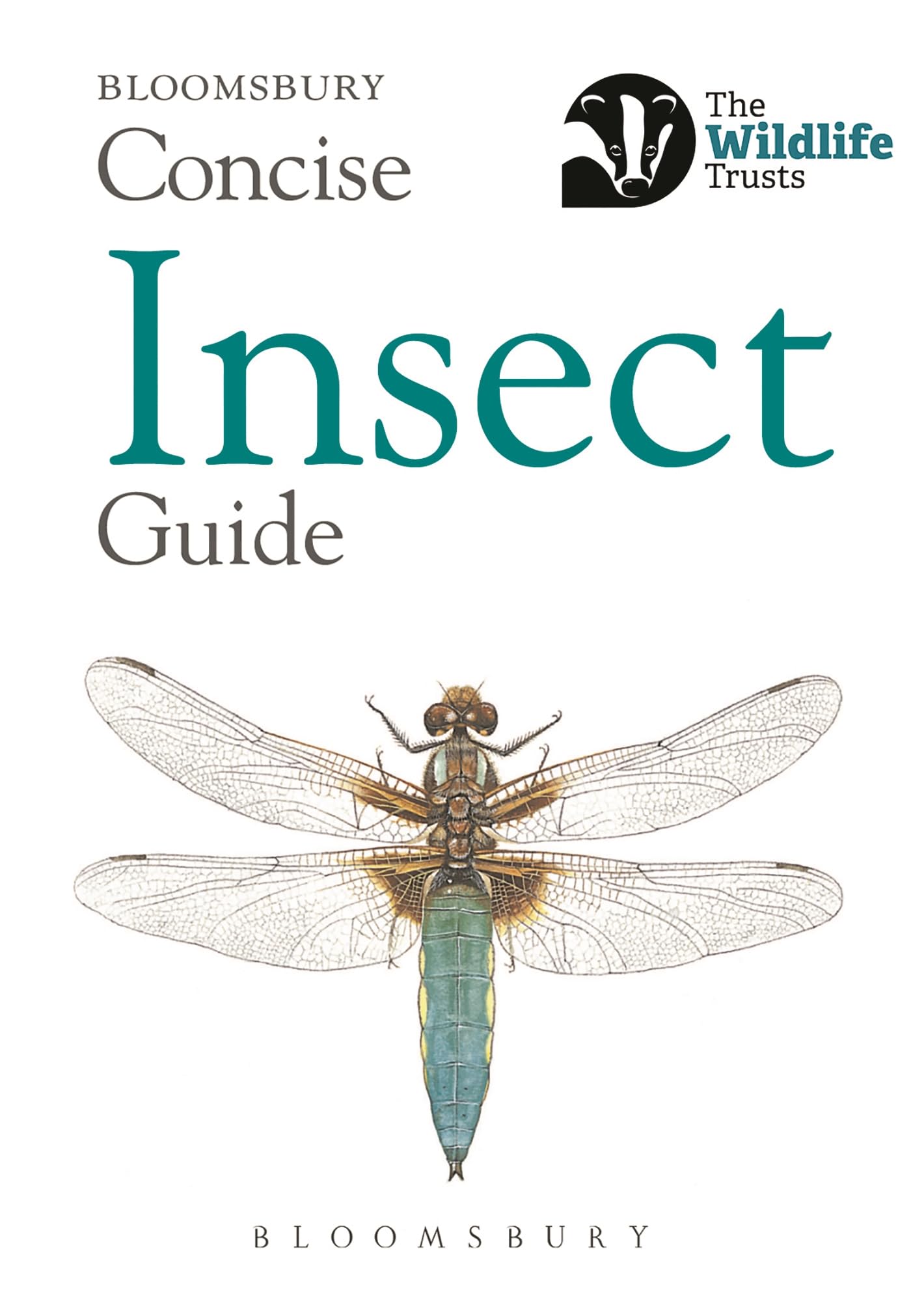 Libro: Concise Insect Guide (Concise Guides)